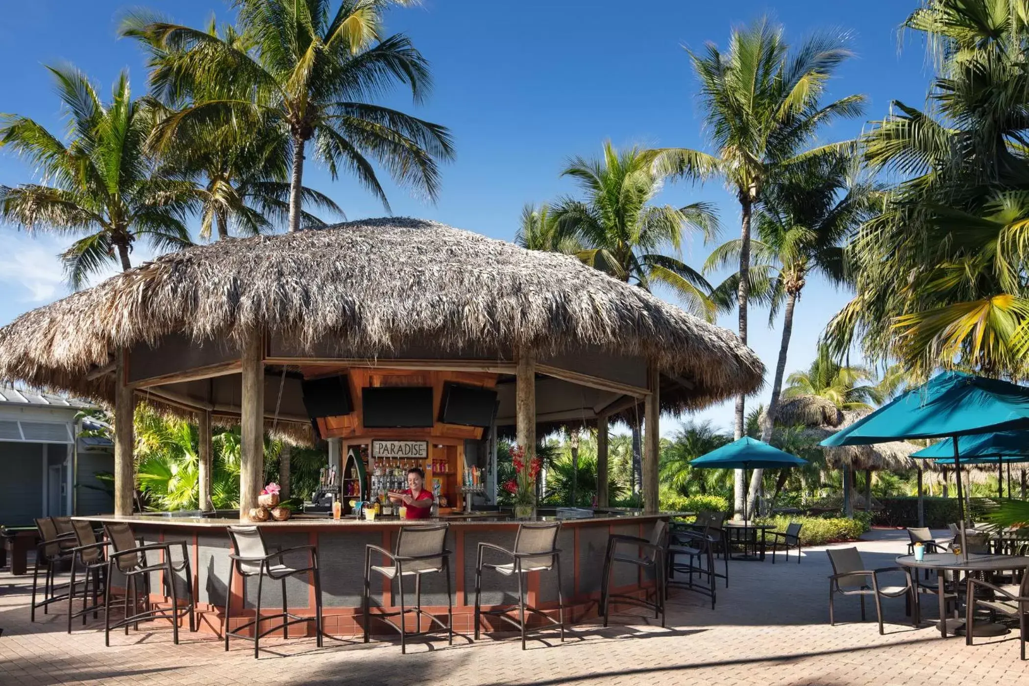 Alcoholic drinks, Restaurant/Places to Eat in Hyatt Residence Club Bonita Springs, Coconut Plantation
