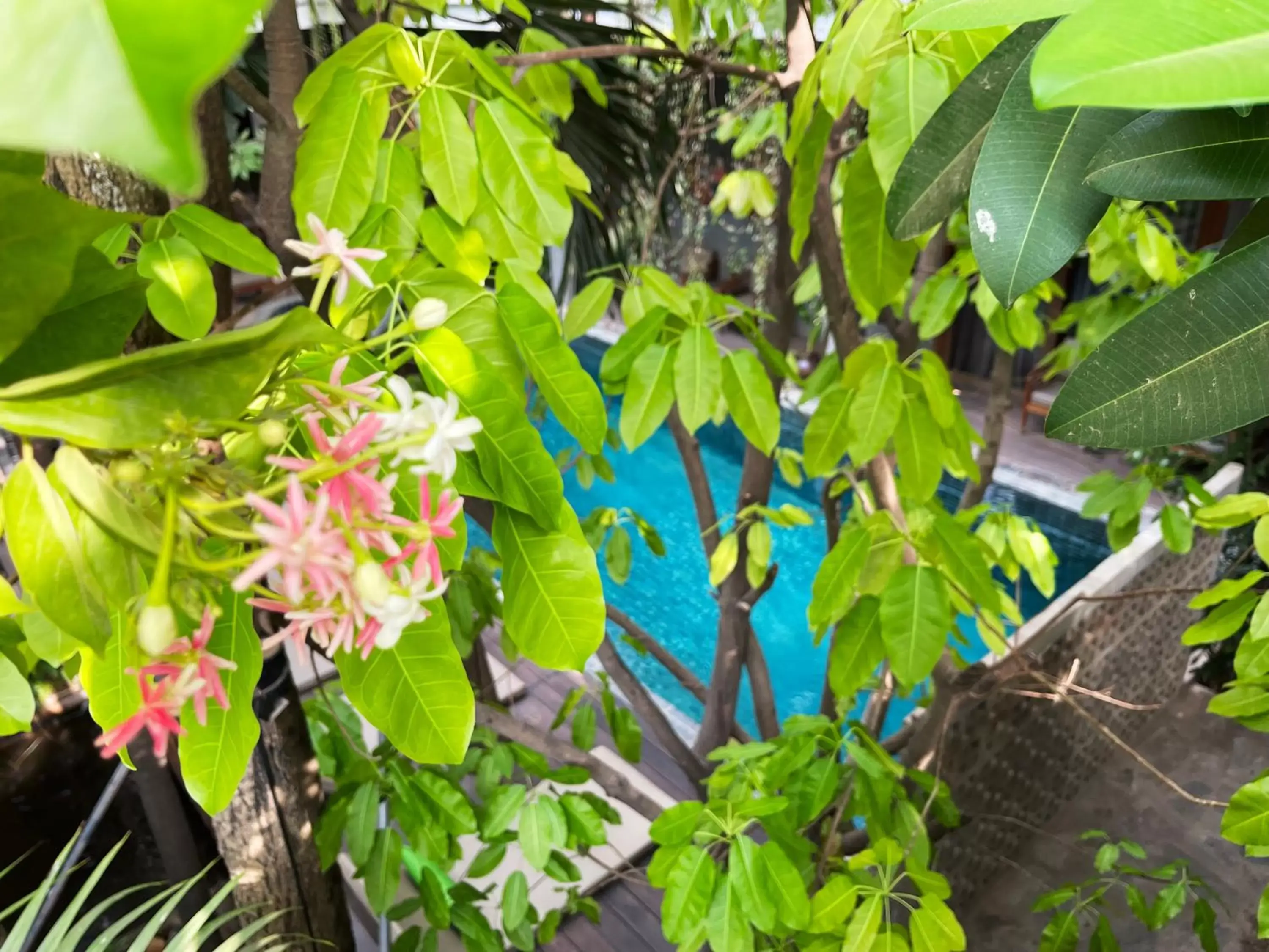 Swimming pool in Sarina Boutique Hotel