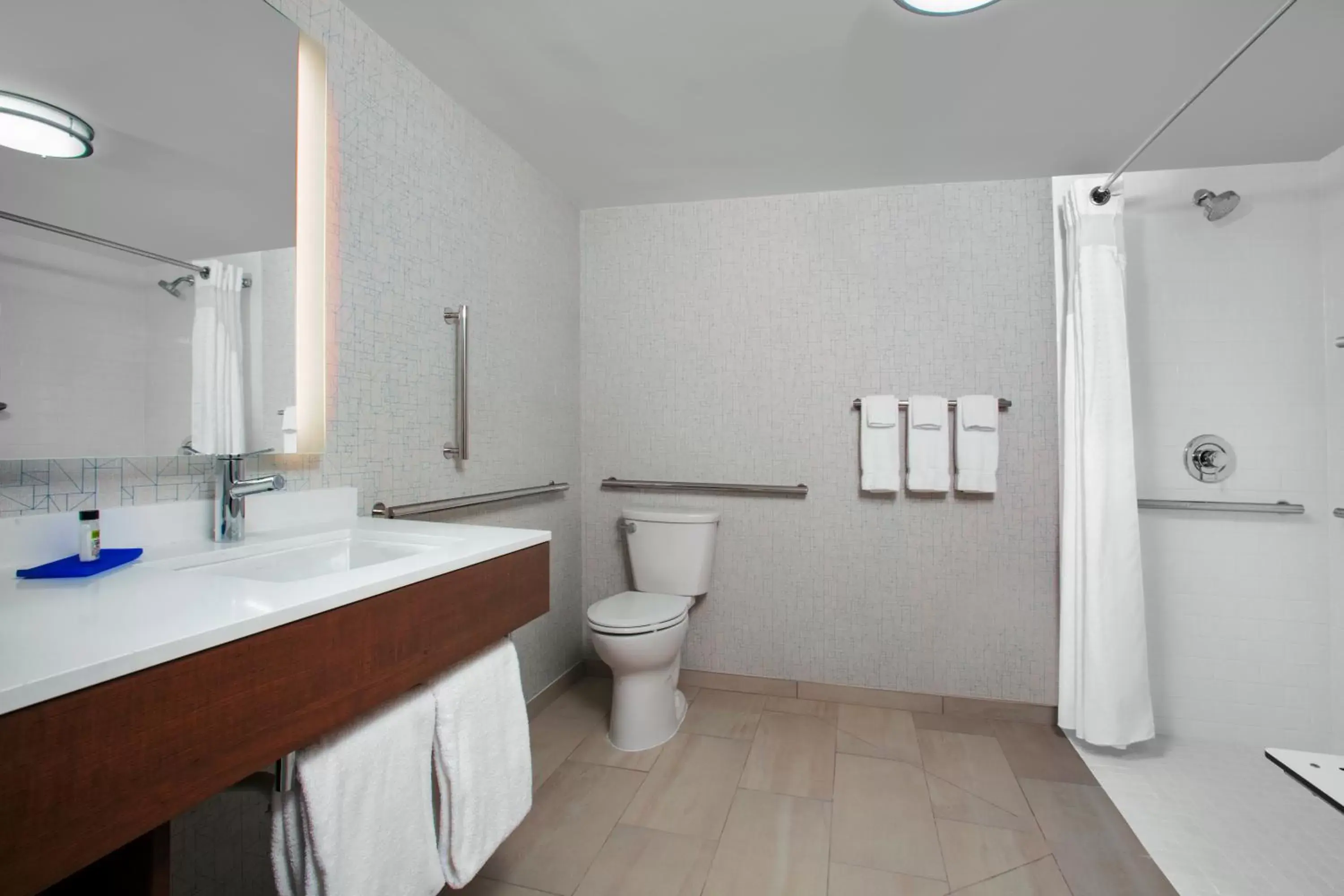 Shower, Bathroom in Holiday Inn Express Charleston-Civic Center, an IHG Hotel