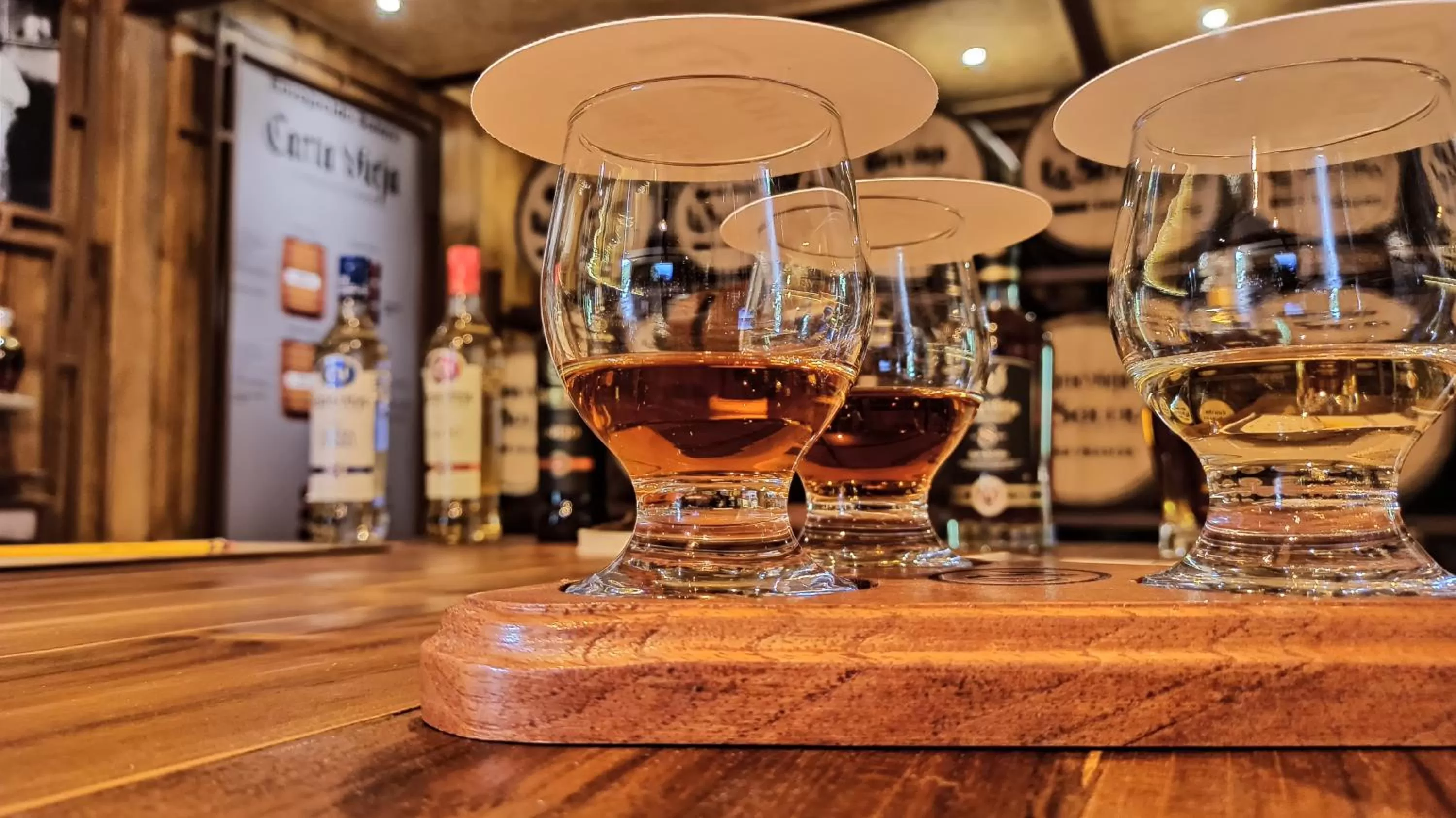 Lounge or bar in TREE TREK BOQUETE Adventure Park