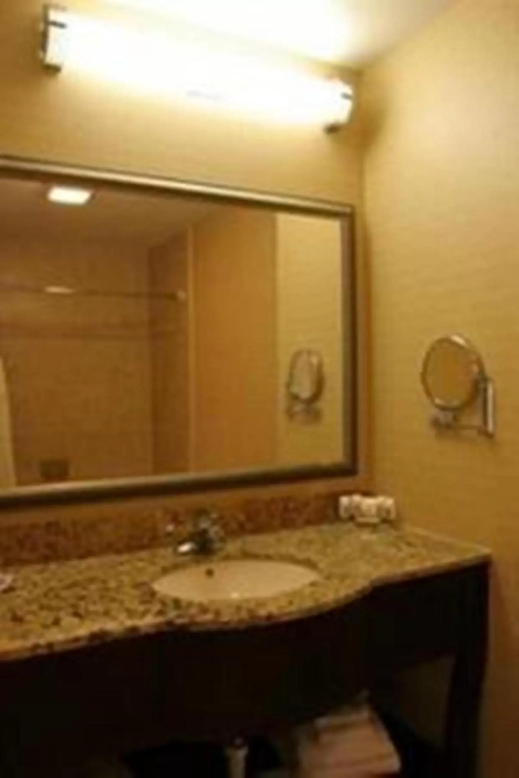 Bathroom in Holiday Inn Express and Suites Allentown West, an IHG Hotel