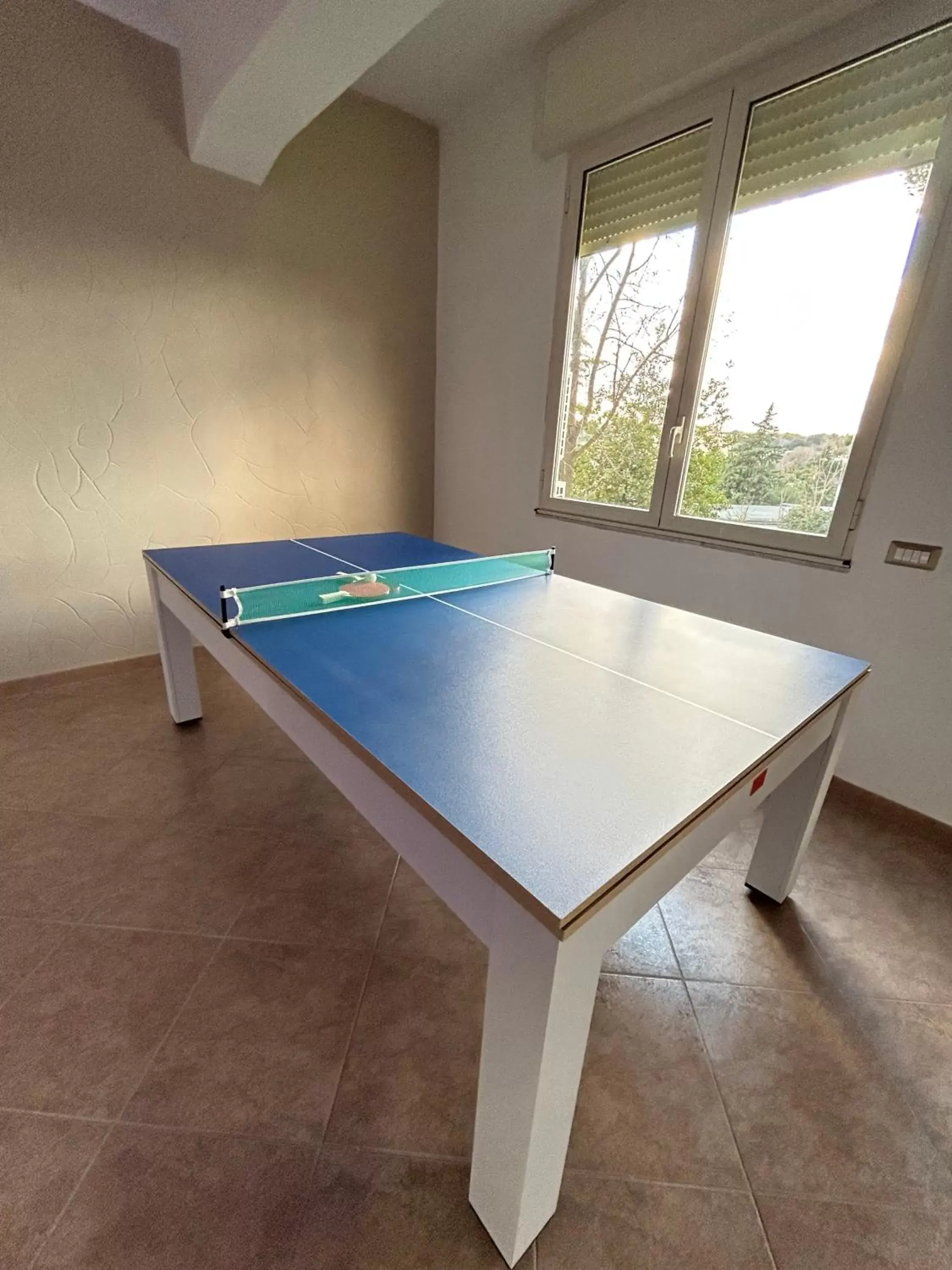 Game Room, Table Tennis in Skycity B&B