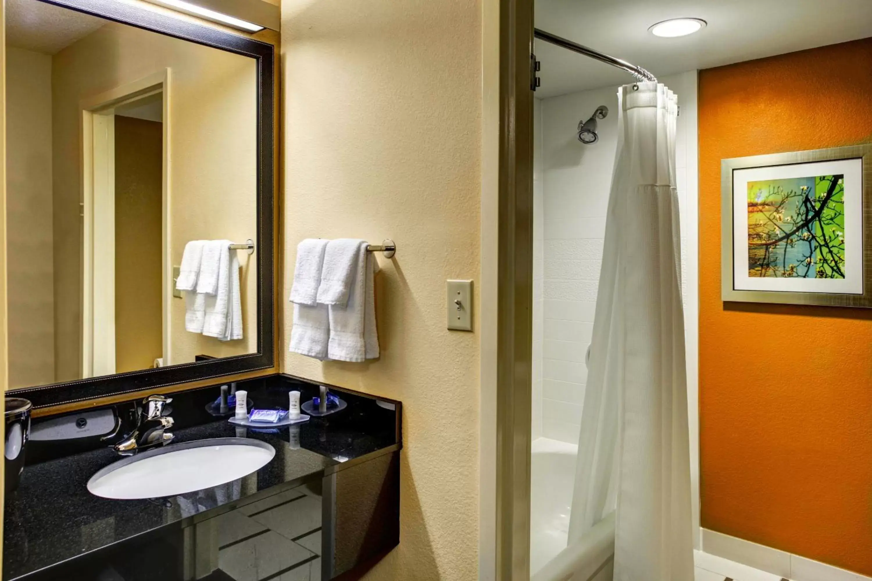Bathroom in Fairfield Inn and Suites by Marriott Atlanta Suwanee