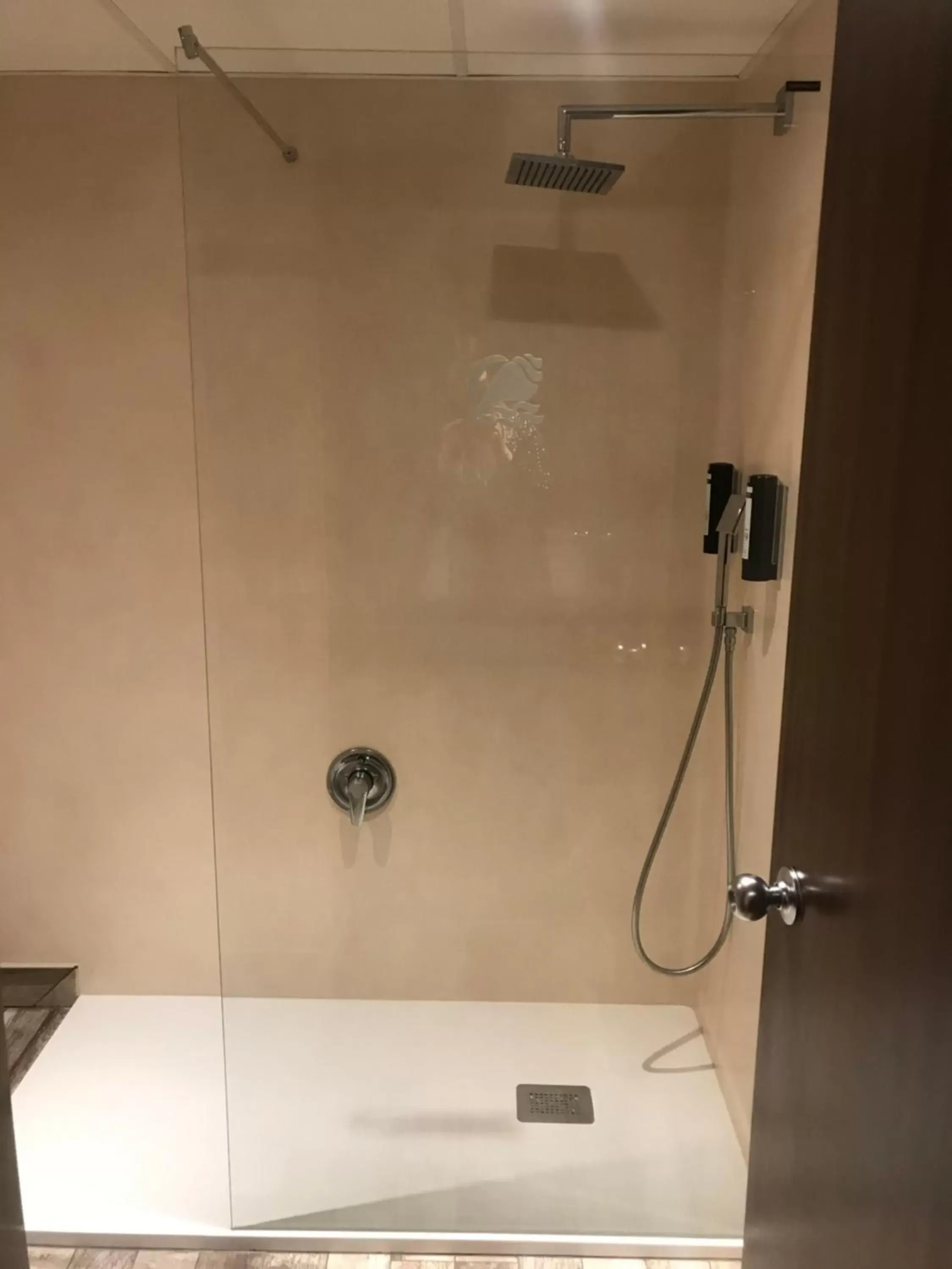 Shower, Bathroom in Hotel Palacio del Mar