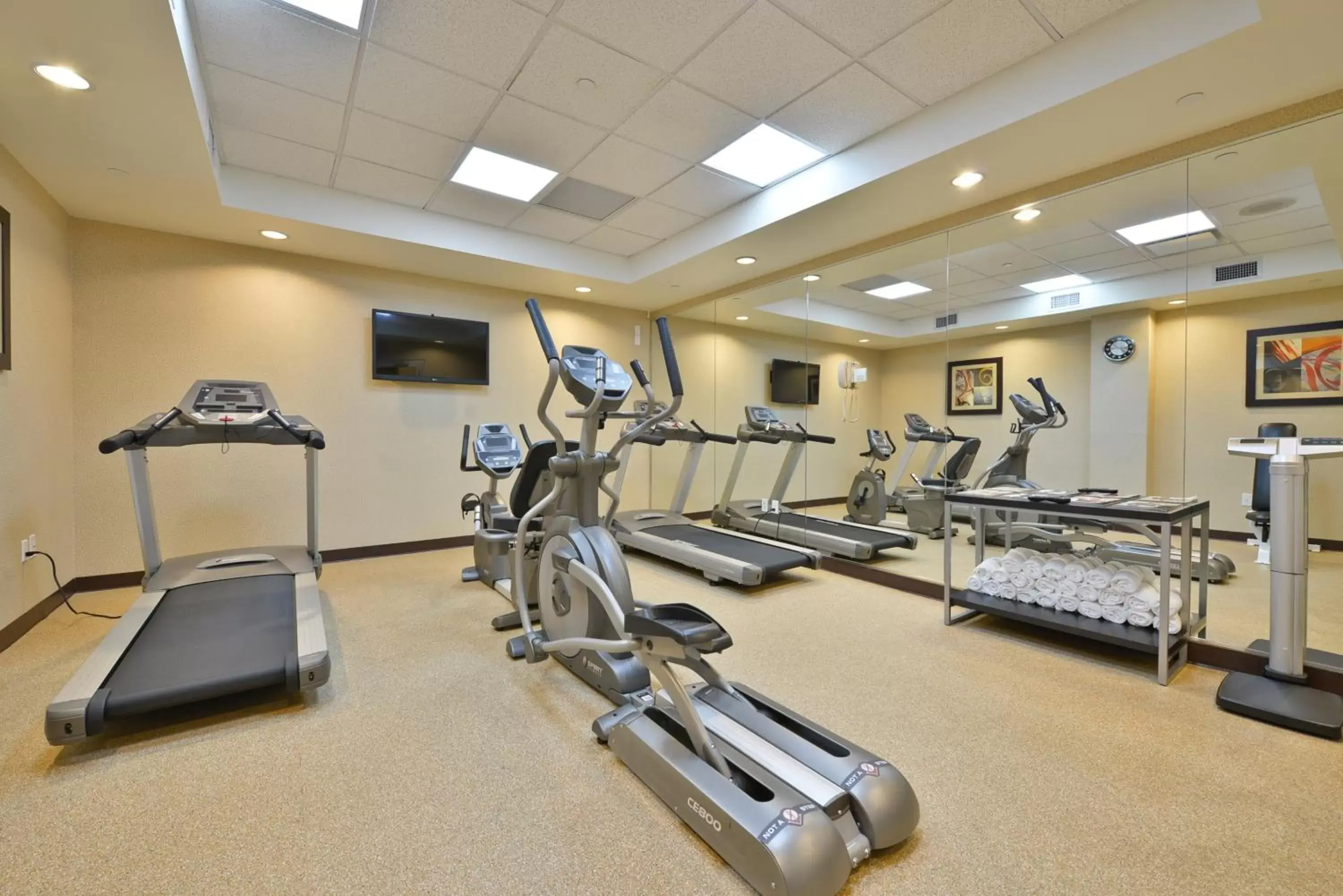 Fitness centre/facilities, Fitness Center/Facilities in Holiday Inn Lower East Side, an IHG Hotel