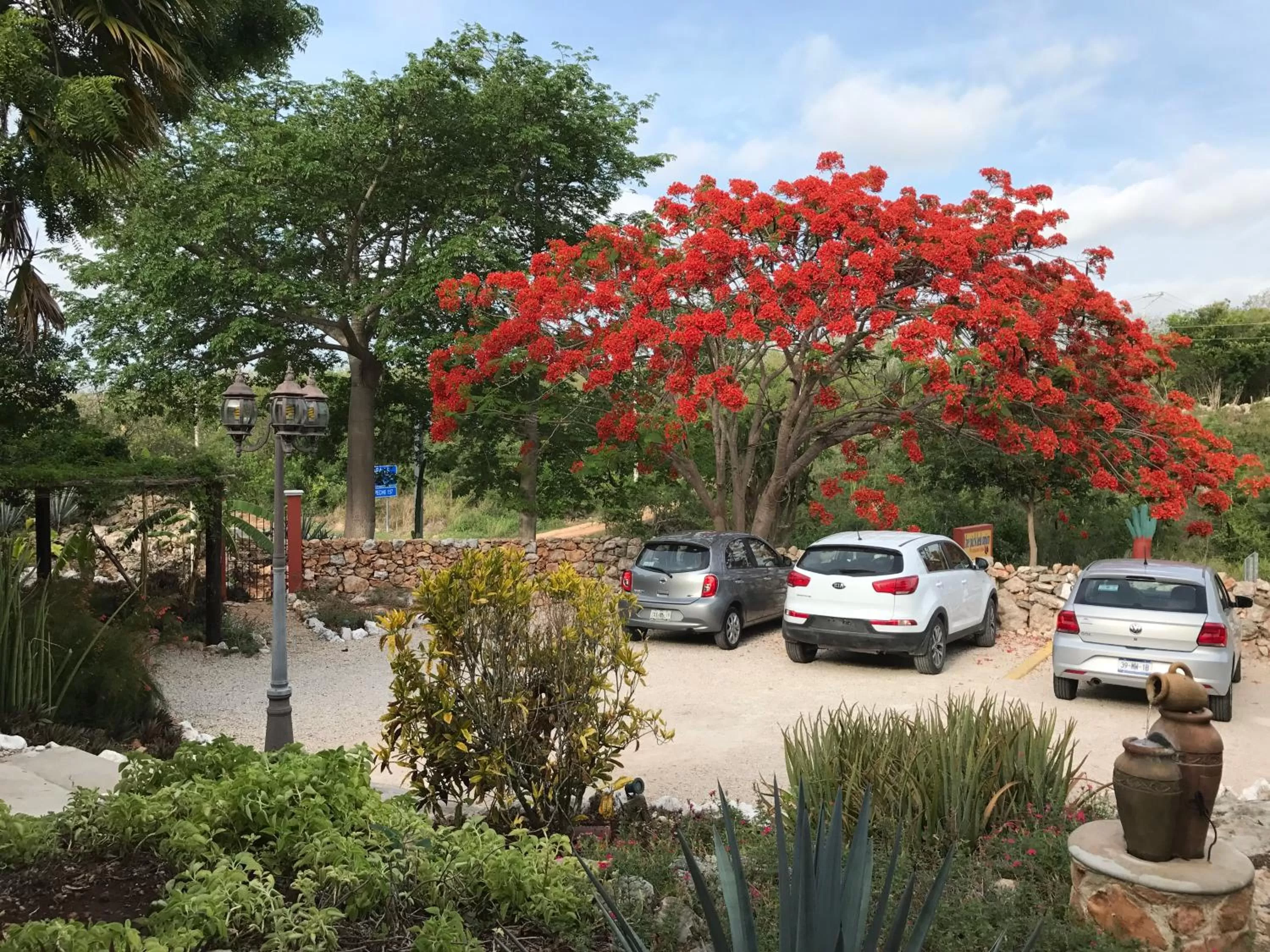 Facade/entrance in The Pickled Onion Eco-Boutique B&B