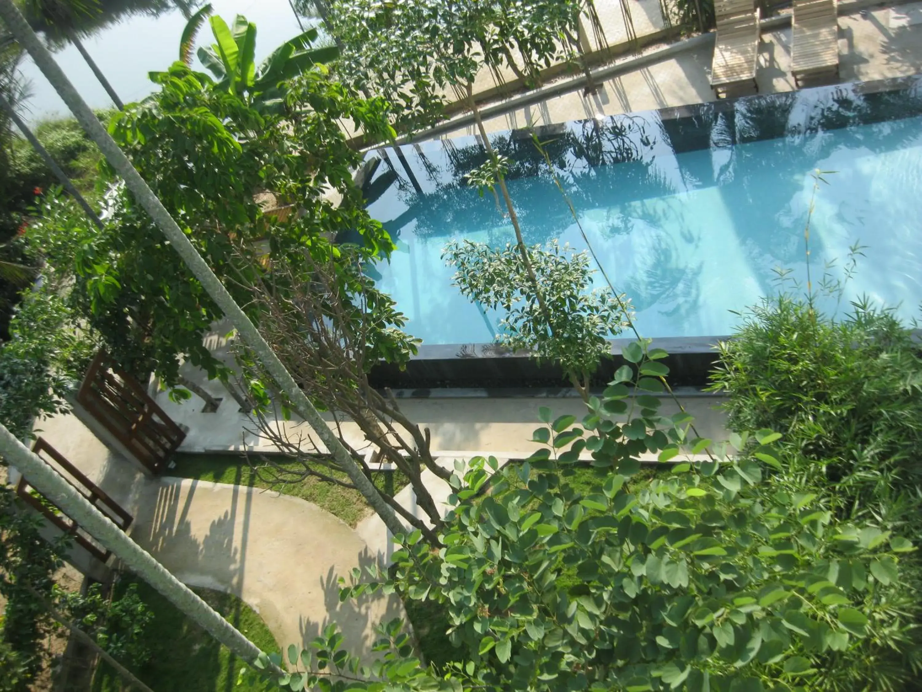 Day, Swimming Pool in Palm View Villa
