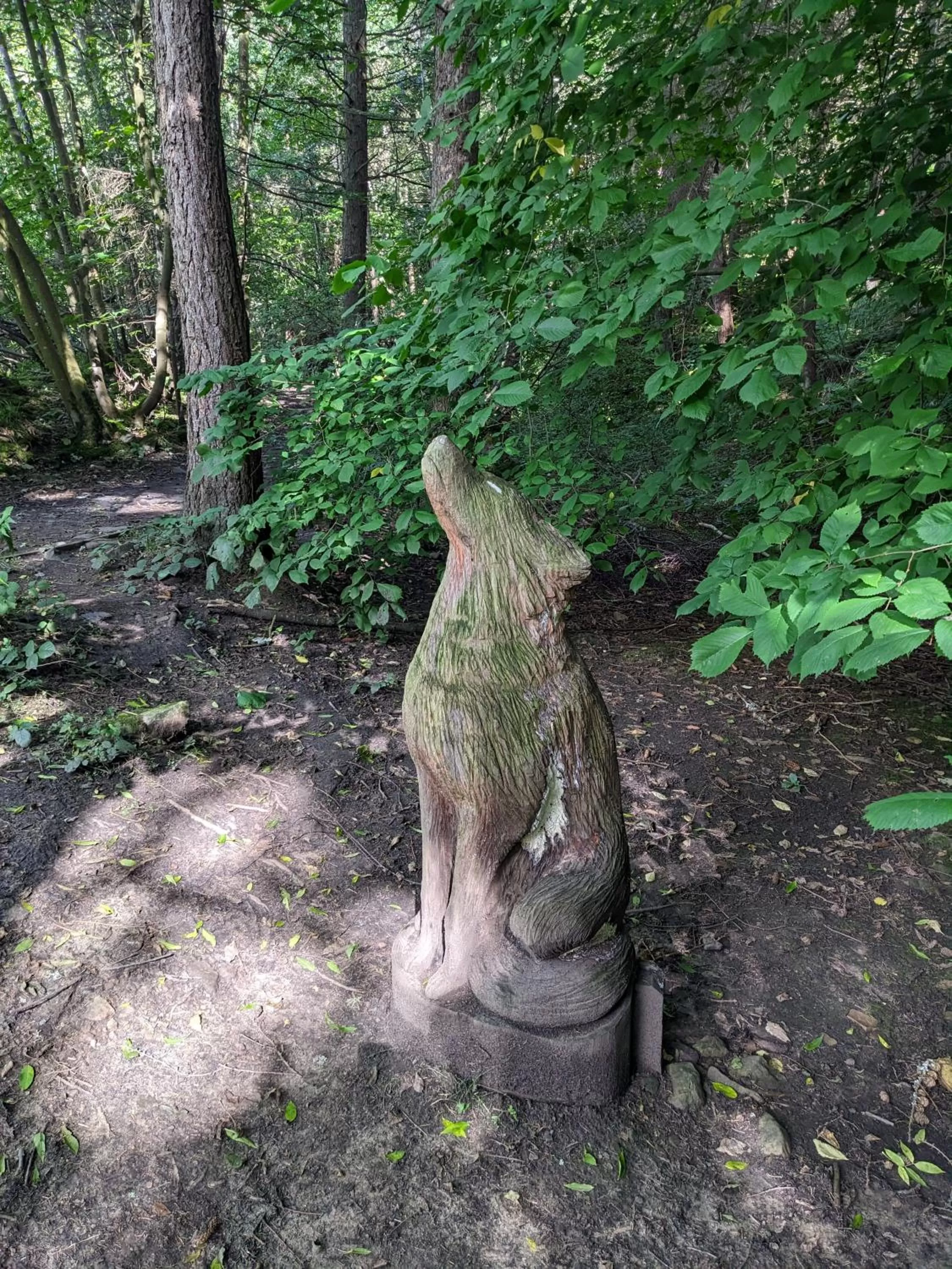 Natural landscape in Thornley House