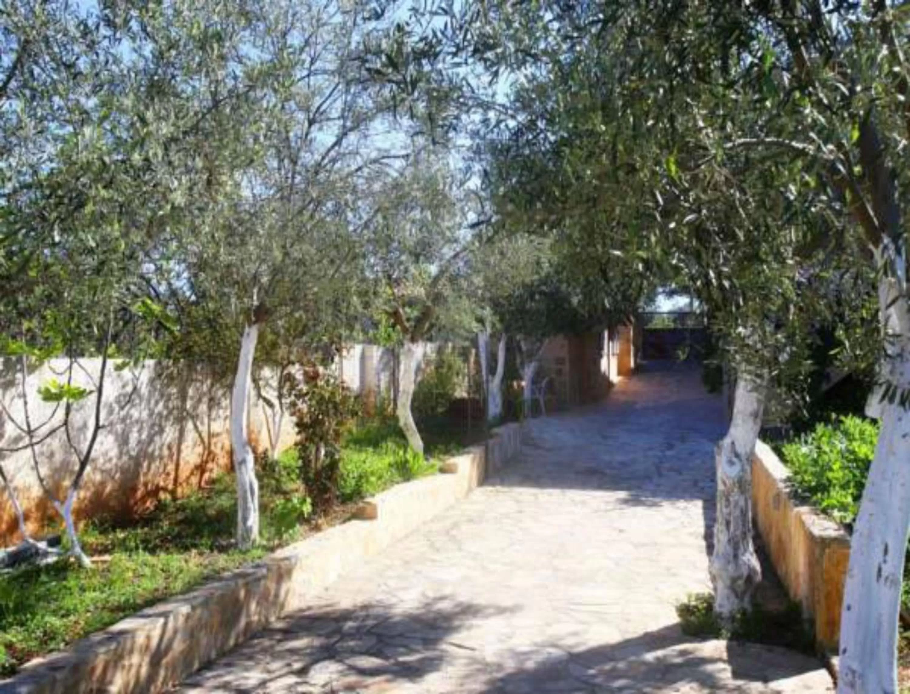 Day in Apartments Tina FREE transfer from-to the airport