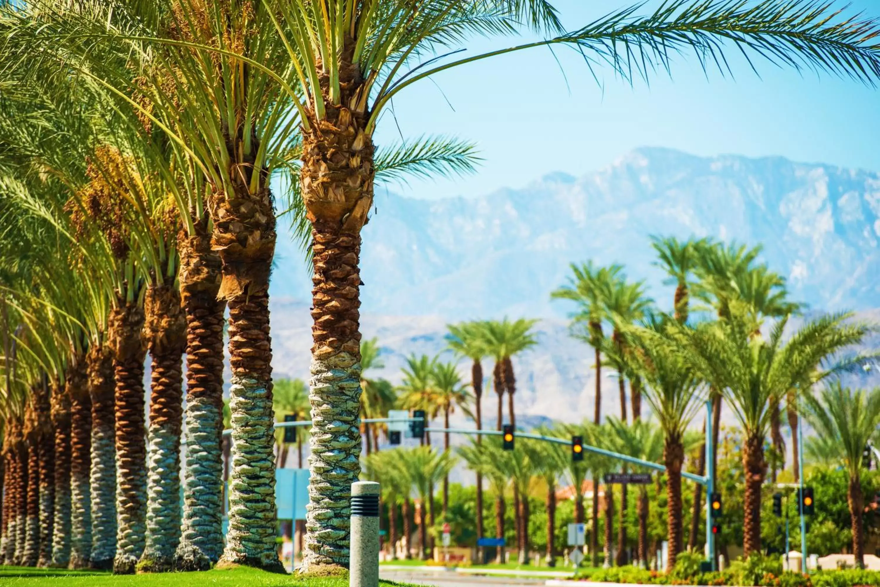 Raintree's Cimarron Golf Resort Palm Springs