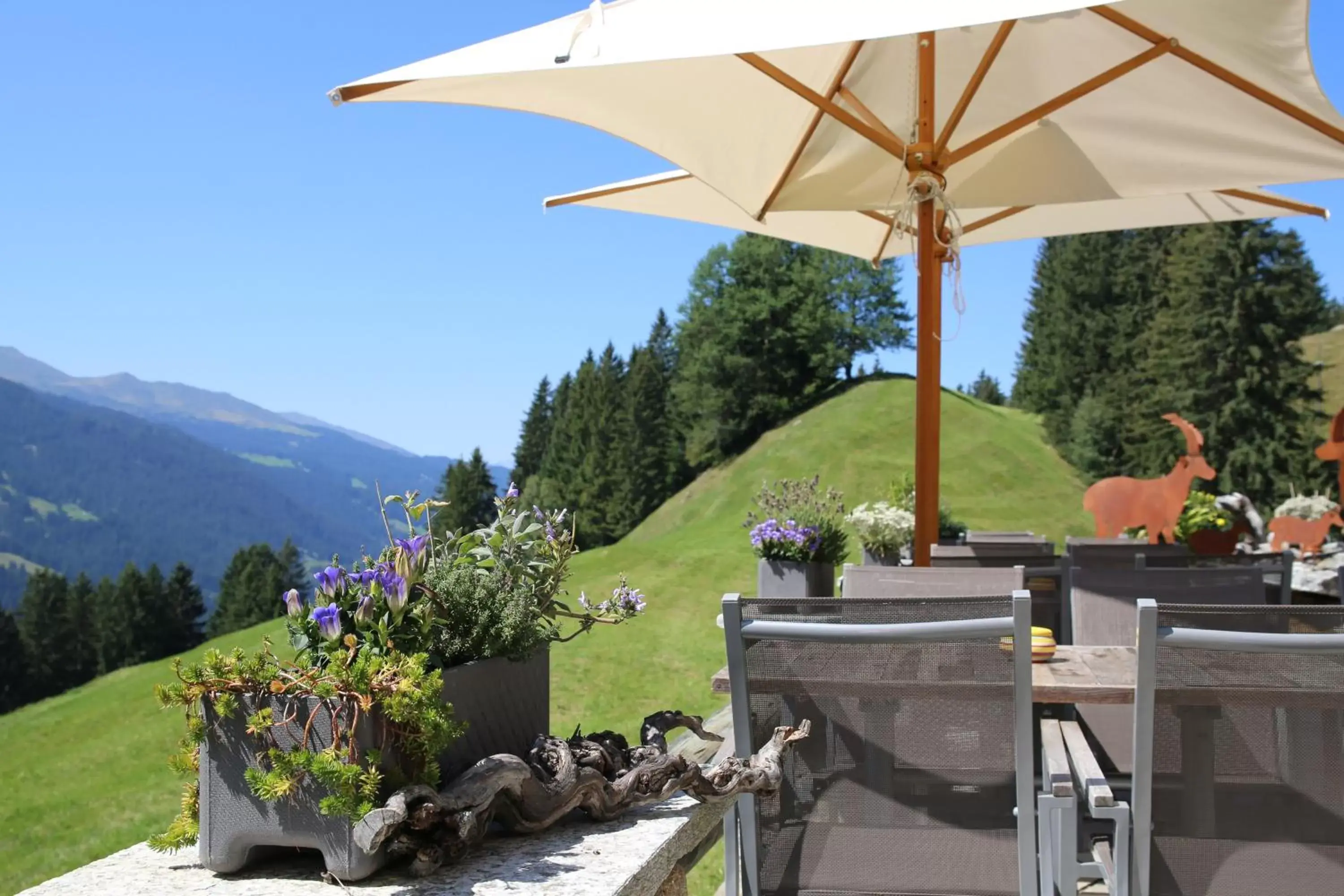 Patio in Berghaus Alpenrösli