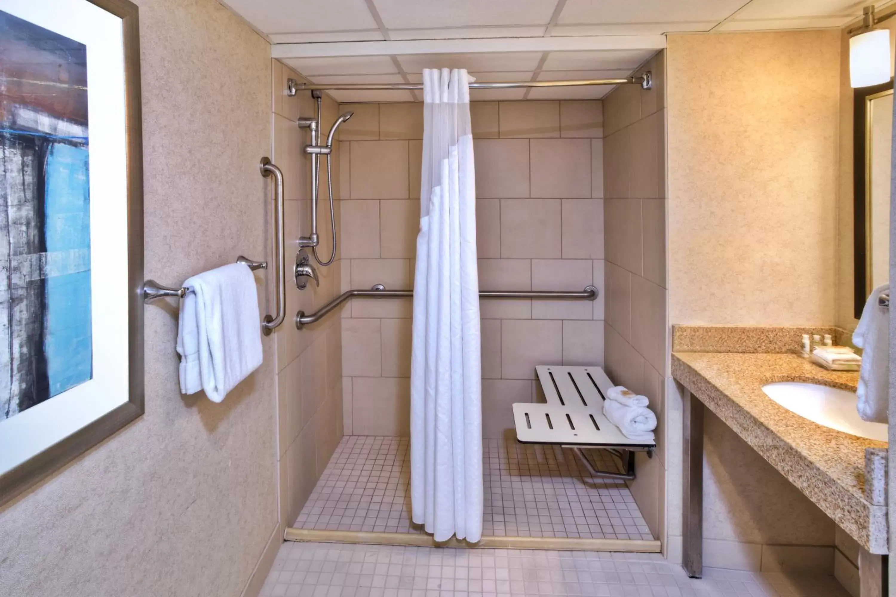 Shower, Bathroom in Holiday Inn Detroit Northwest - Livonia, an IHG Hotel