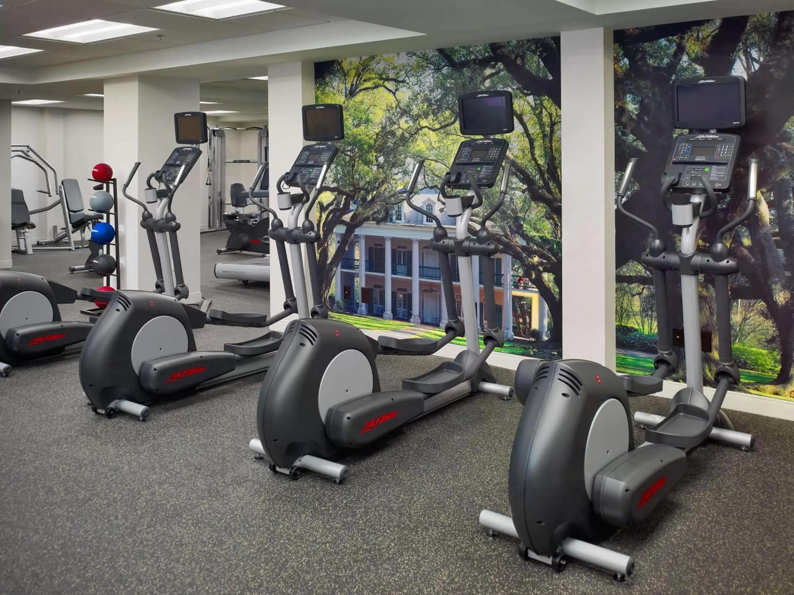 Activities, Fitness Center/Facilities in The Royal Sonesta New Orleans