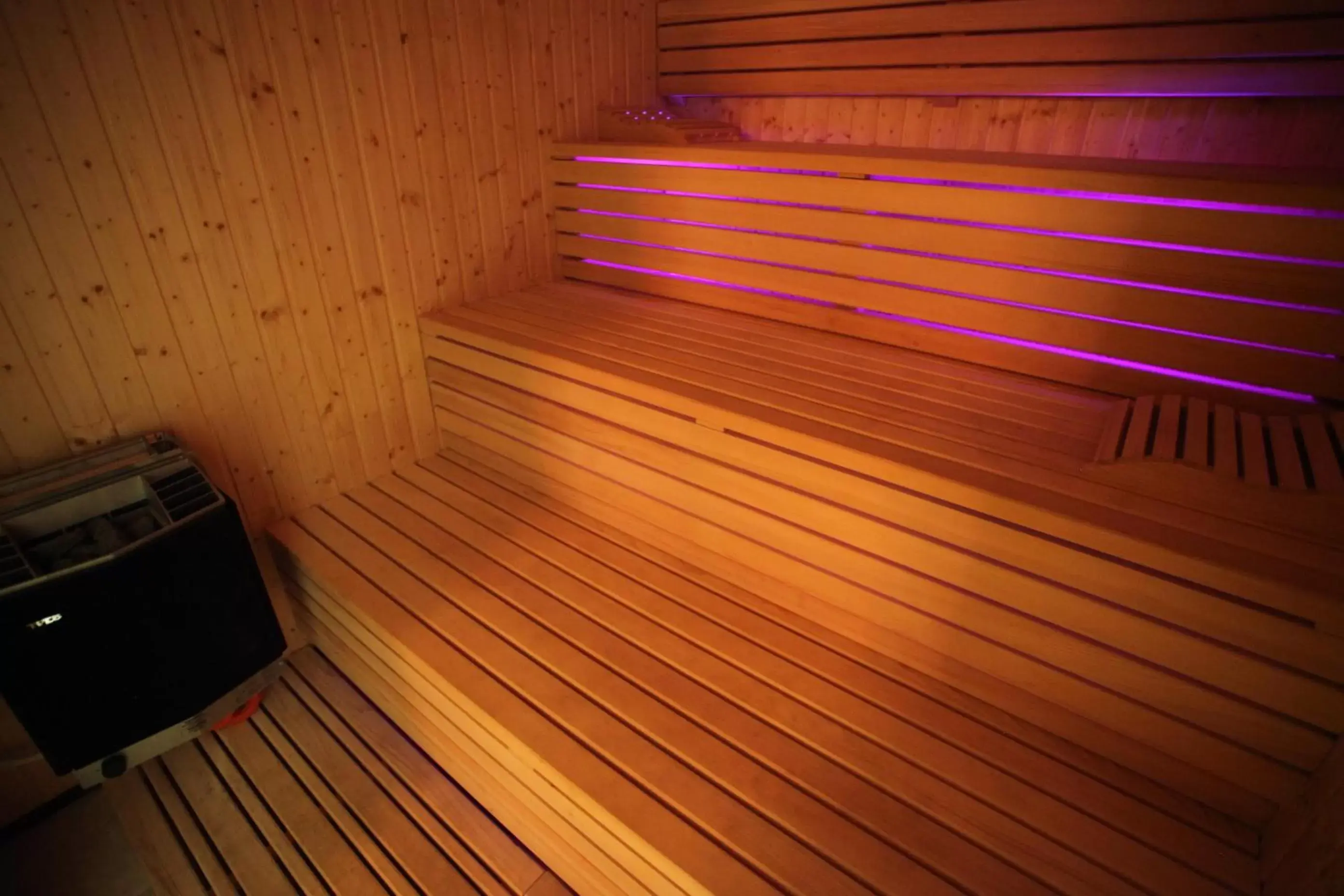 Sauna in Hollywood Hotel