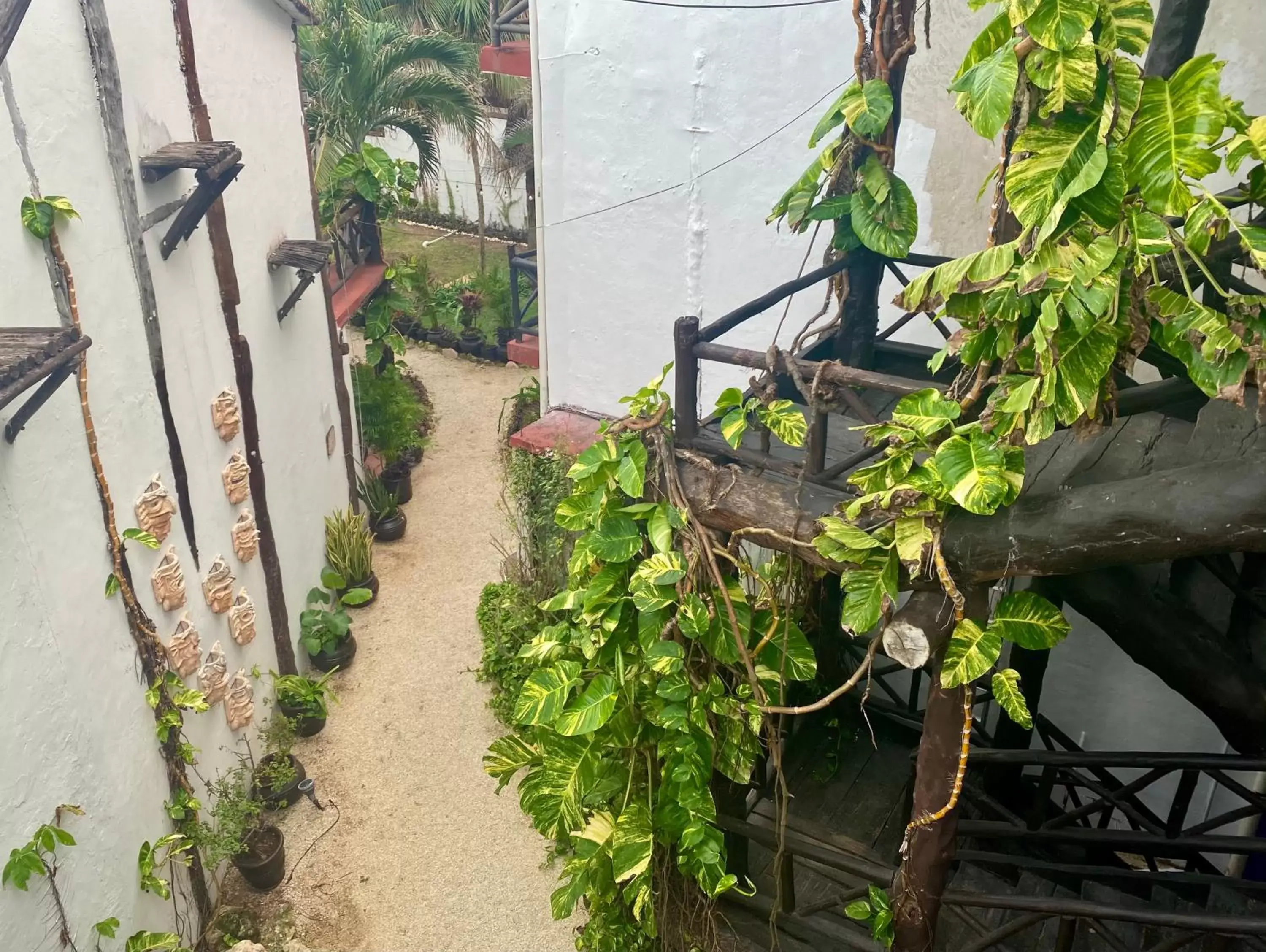 Garden view in Casa Caribe Cancun