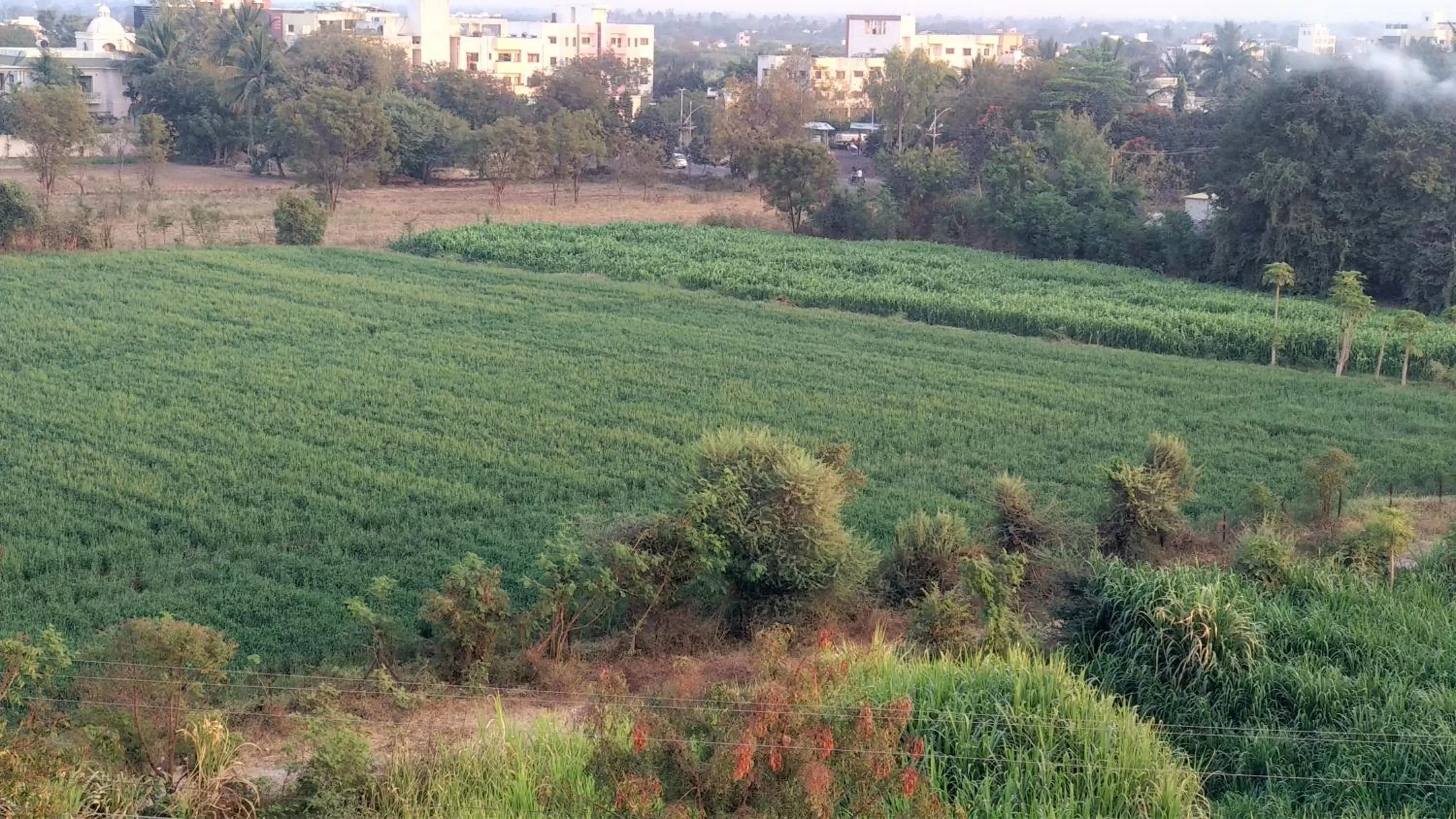 Other in SAI SRUSHTI by NEEM SQUARE