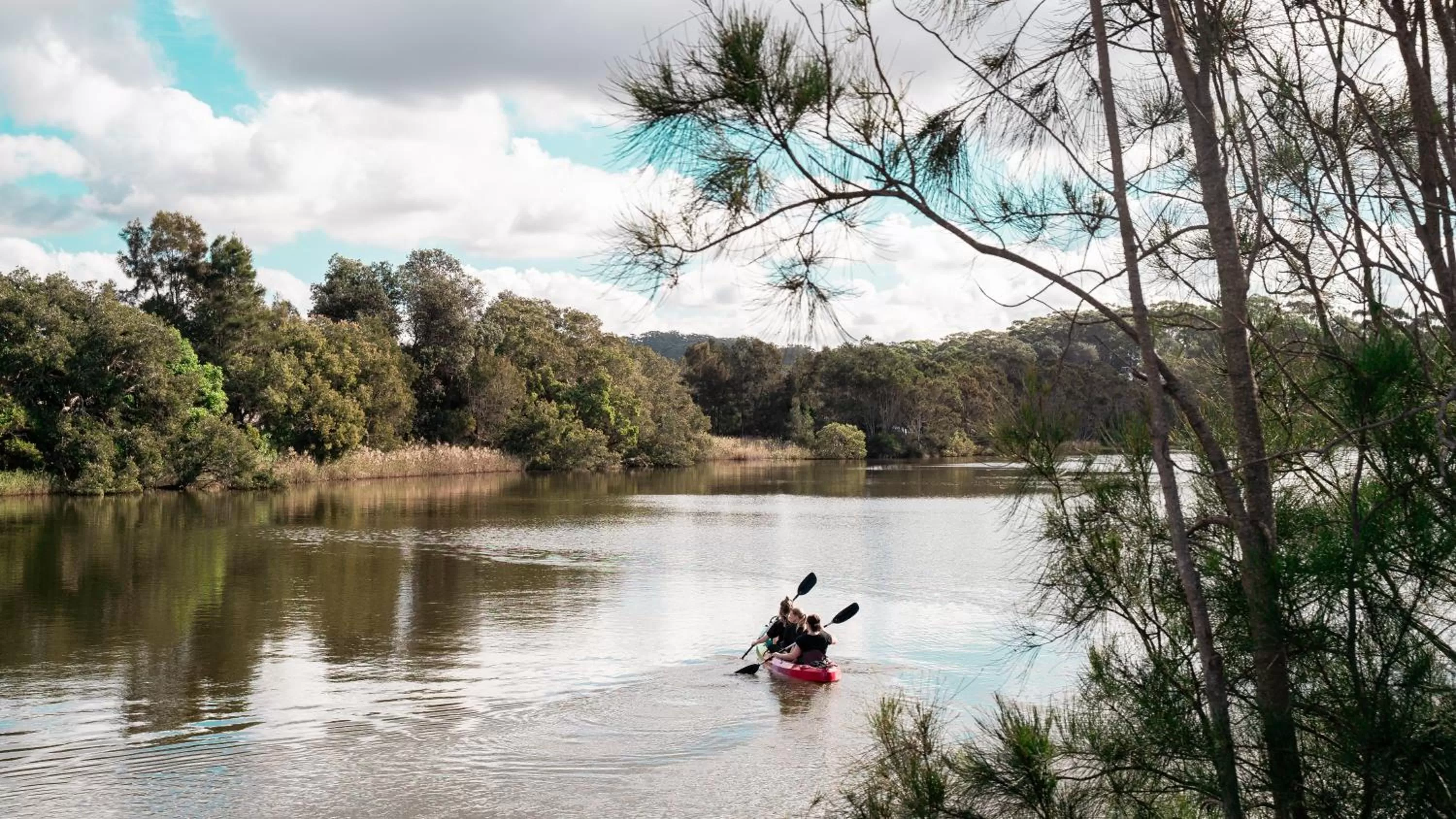 Activities in Terrigal Pacific Coastal Retreat