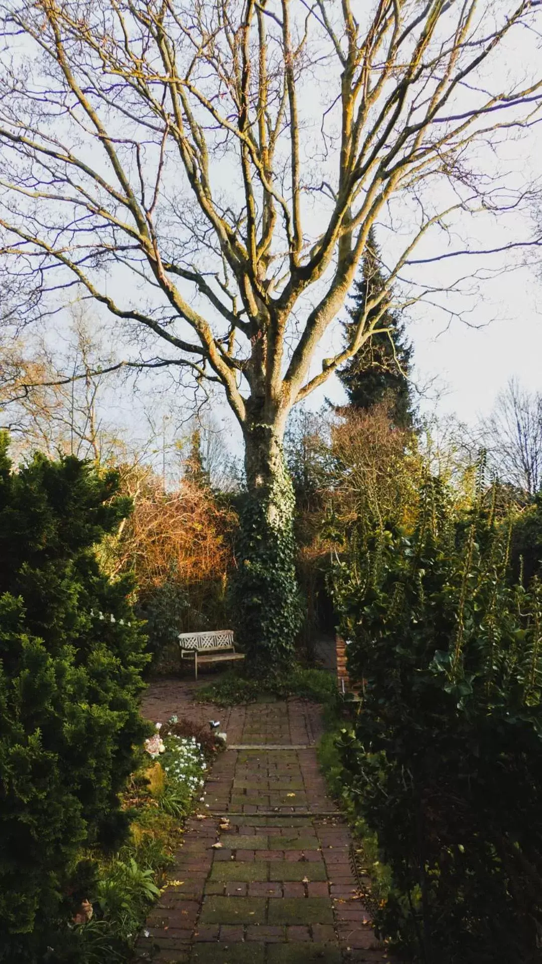 Garden in B&B Willem II