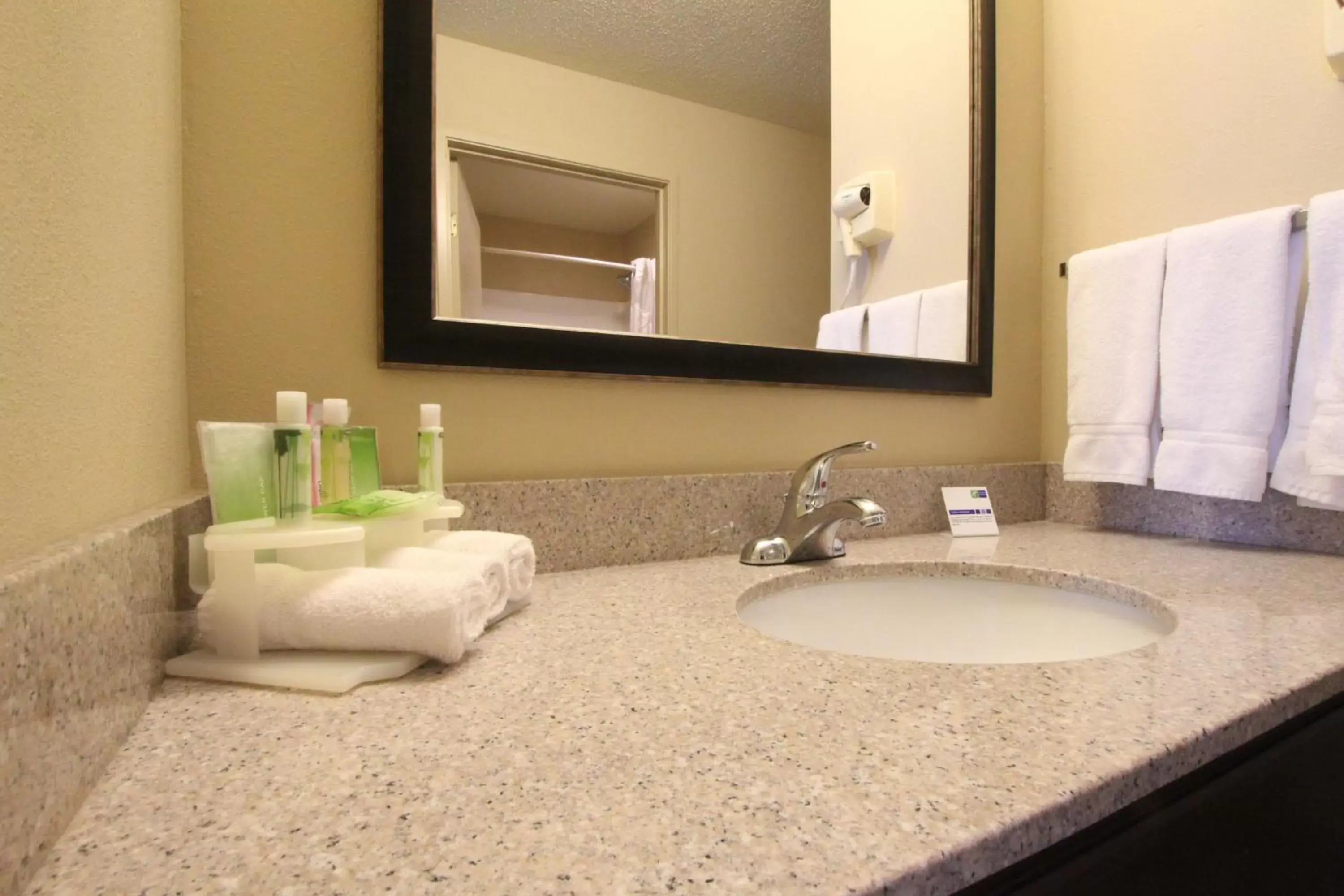 Bathroom in Holiday Inn Express & Suites Chicago-Libertyville, an IHG Hotel