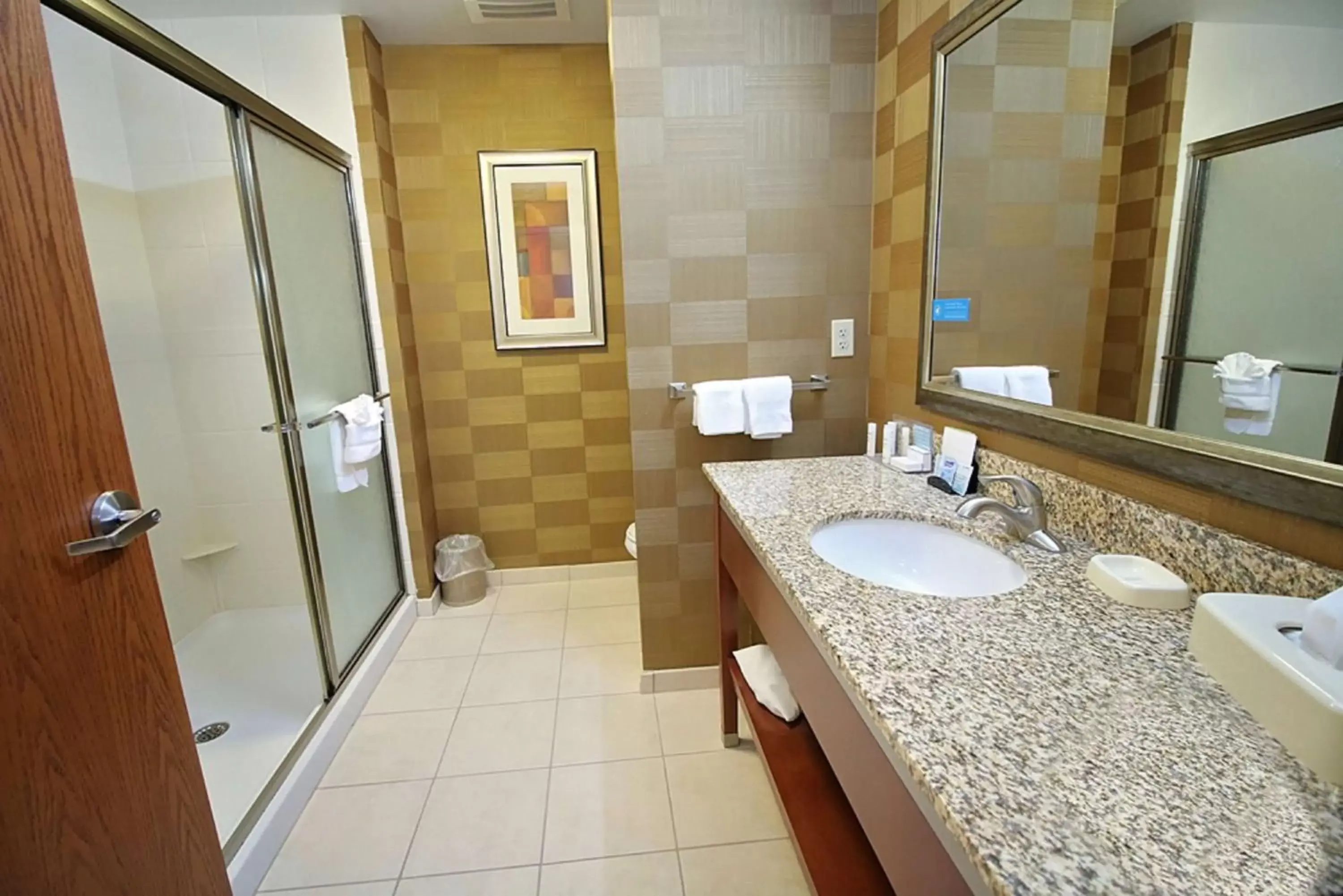 Bathroom in Hampton Inn Detroit/Auburn Hills-North