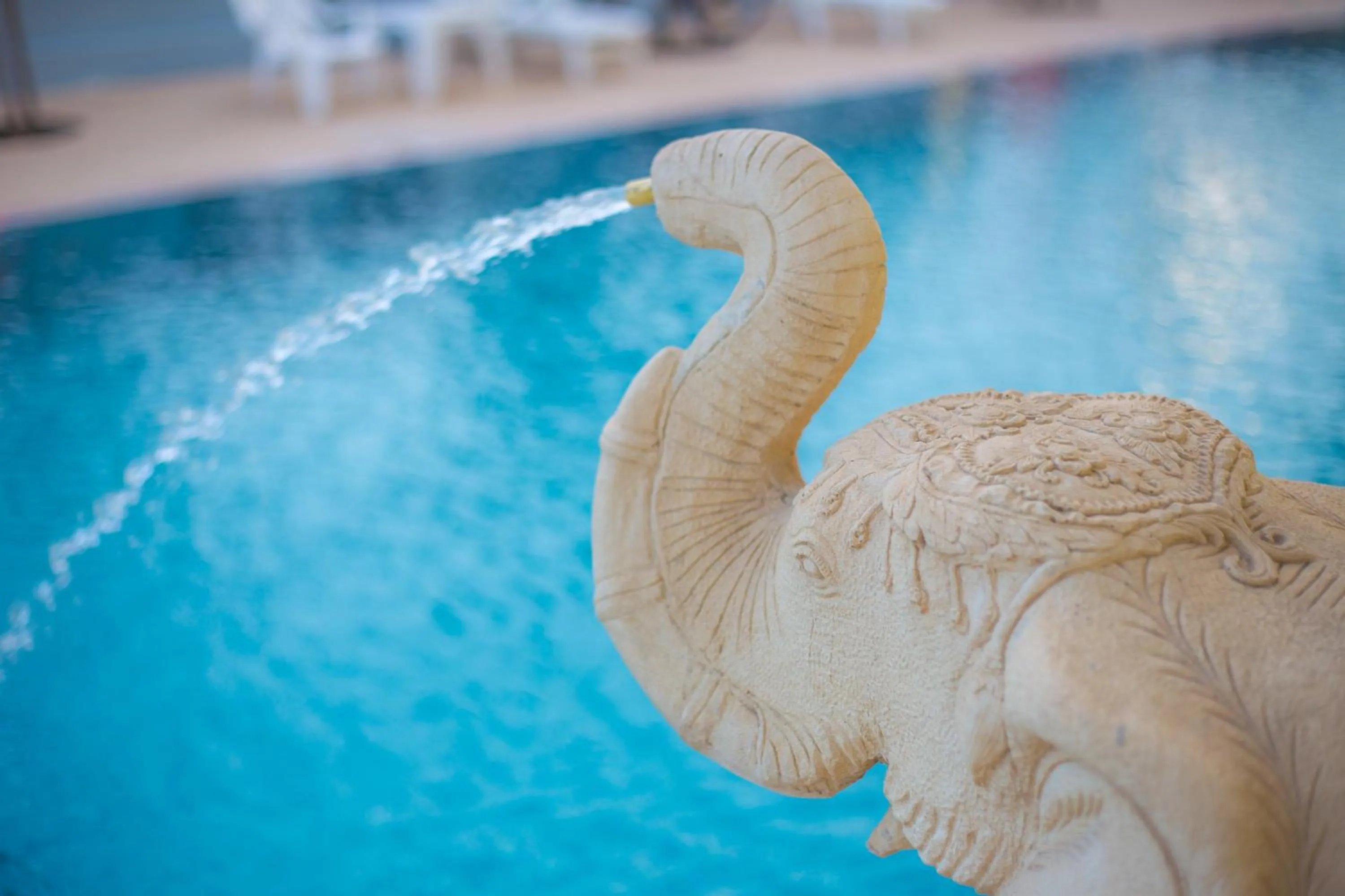 Swimming pool in Smile Residence