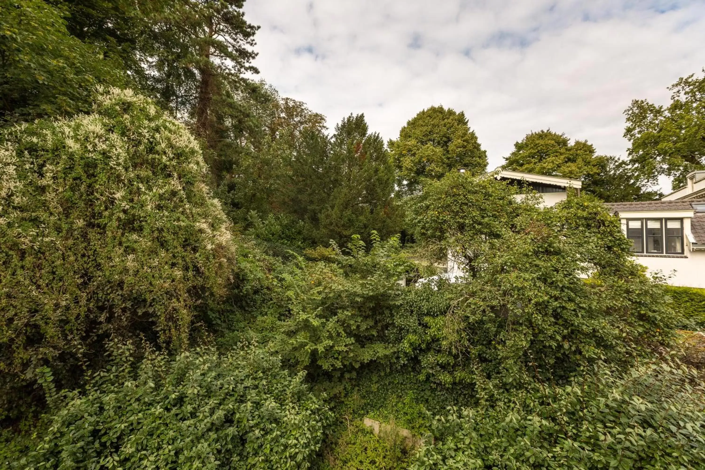 Natural landscape in Hotel Bleecker