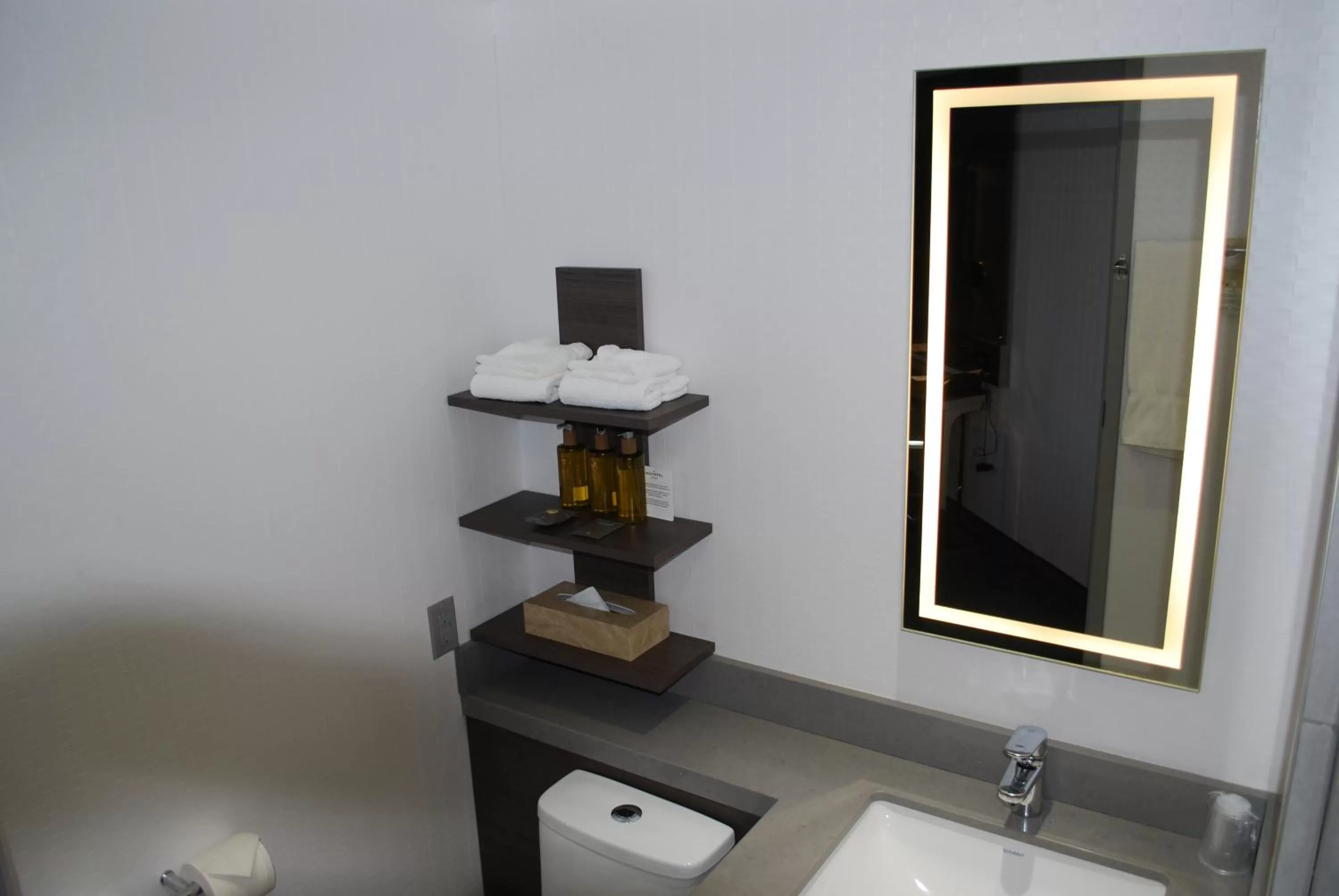 Toilet in DoubleTree by Hilton Ottawa Downtown