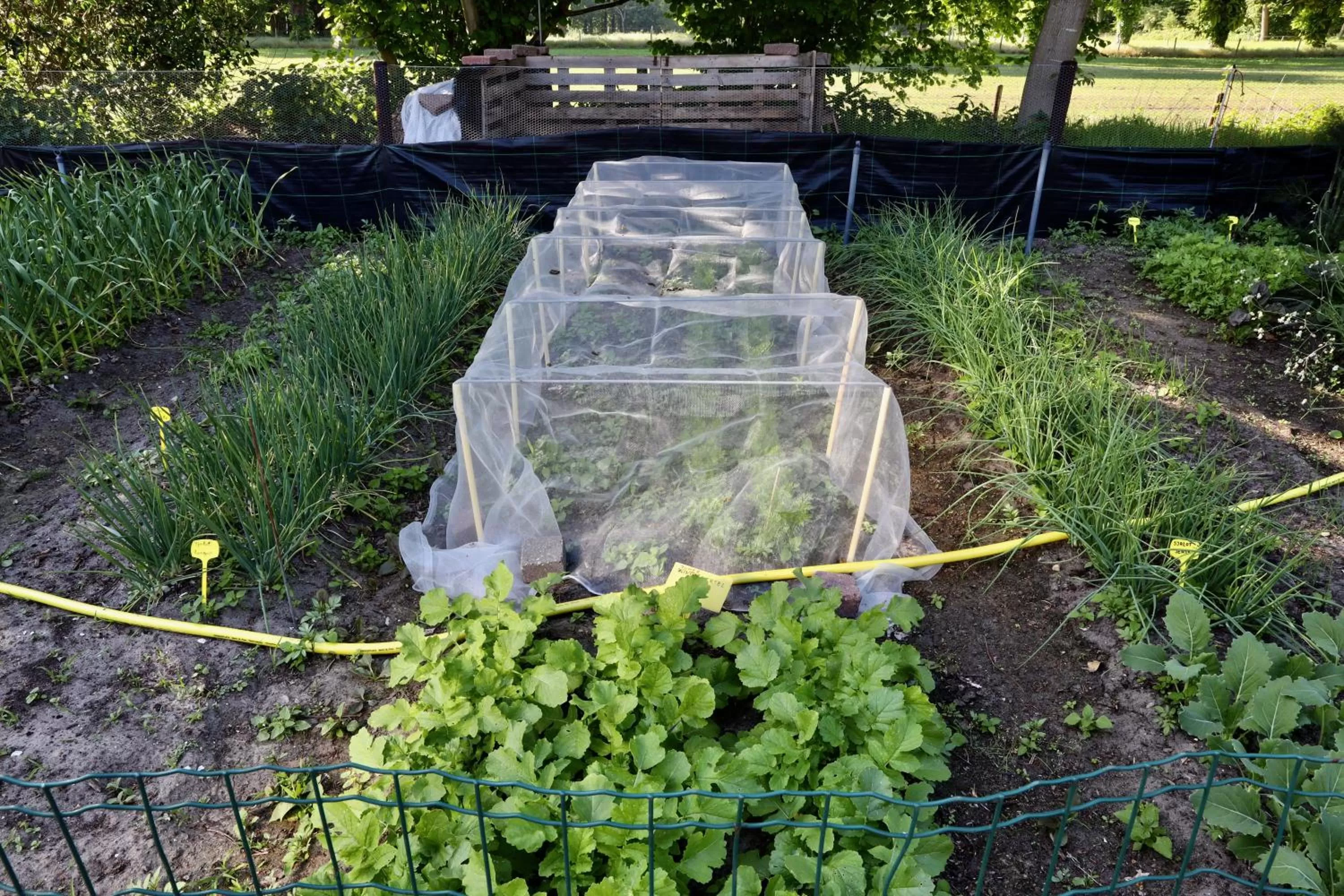 Garden in de Lochemse Berg