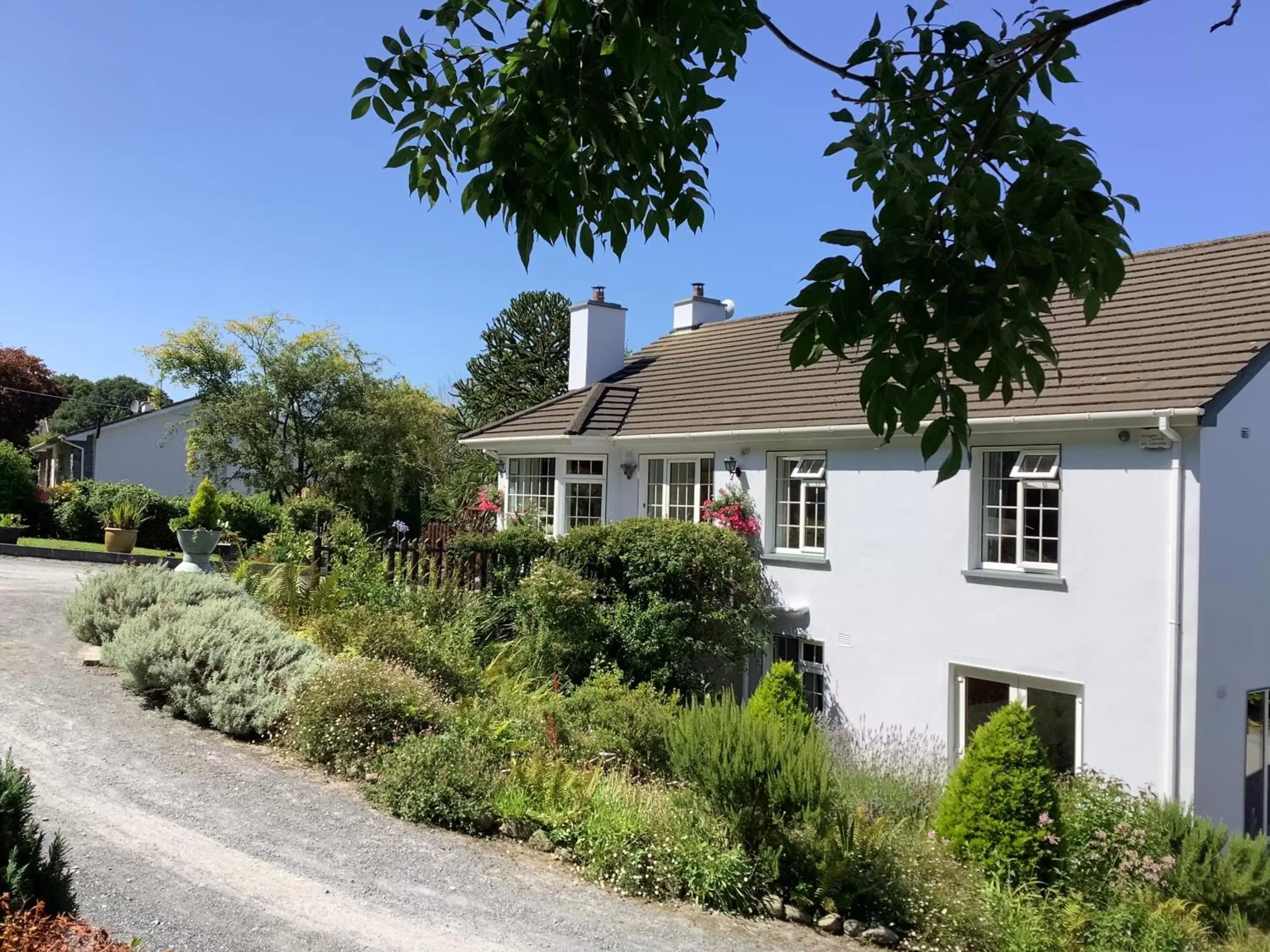 Property Building in O' Sullivan's B & B