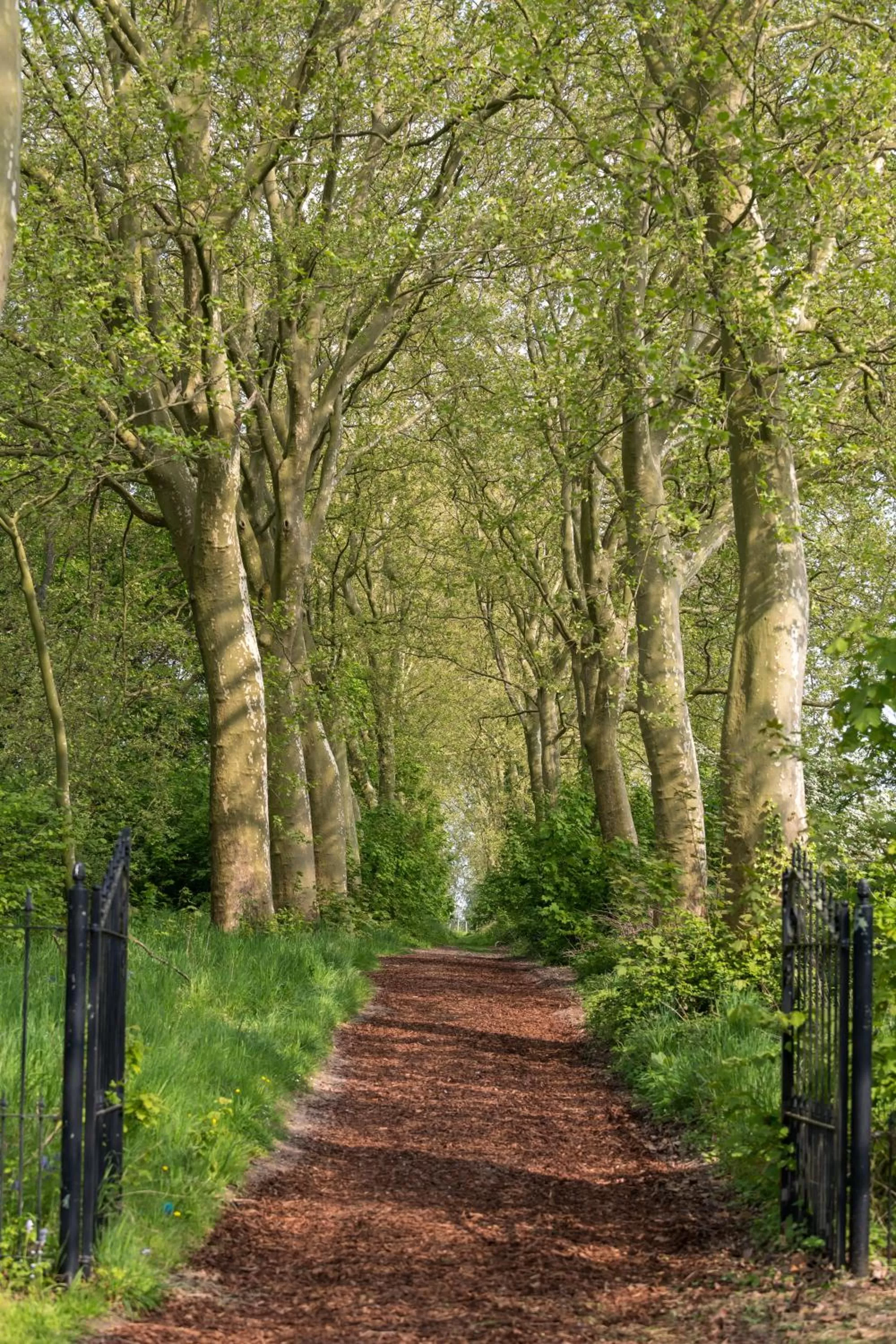 Neighbourhood in Martin's Rentmeesterij