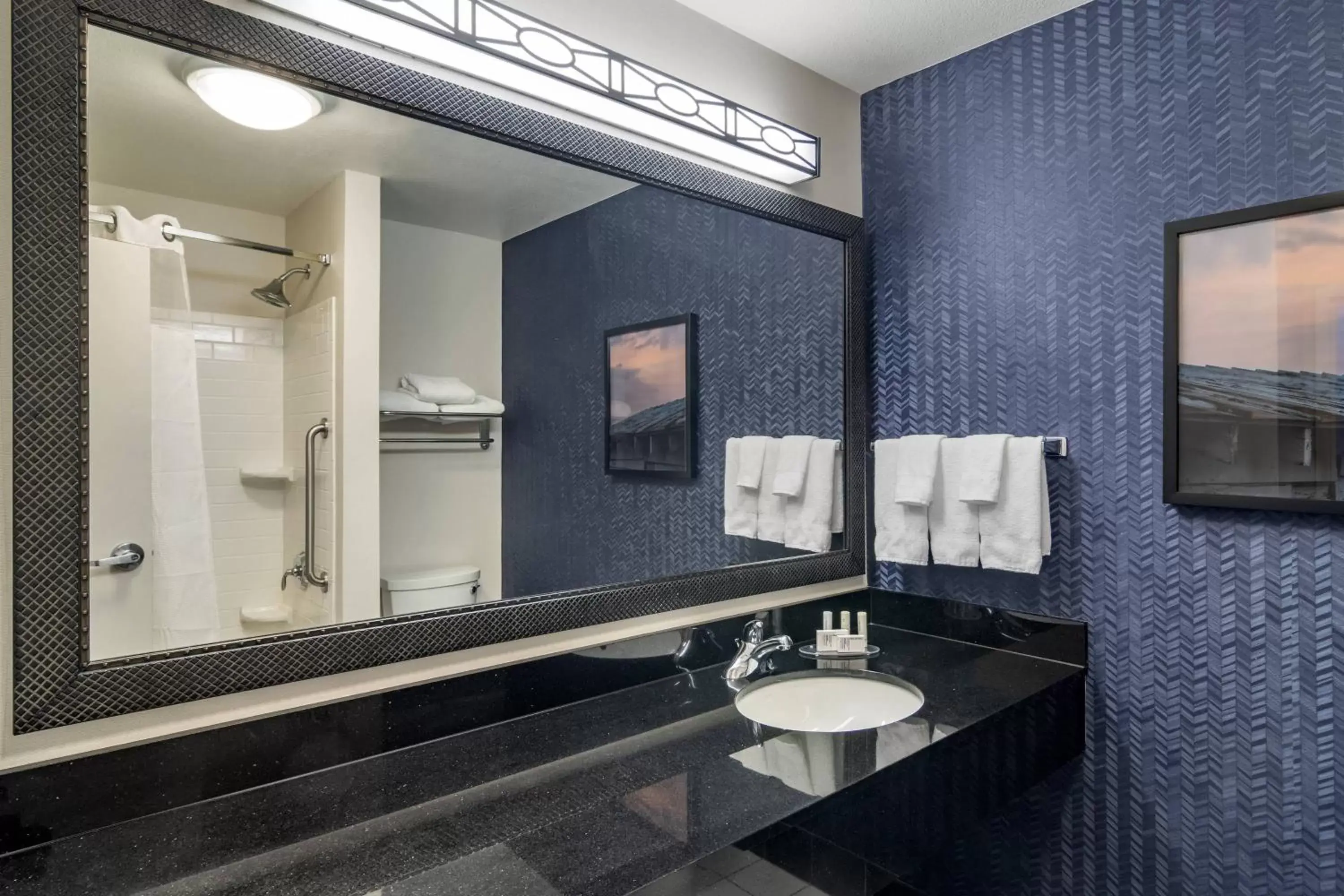 Bathroom in Fairfield Inn & Suites by Marriott Commerce