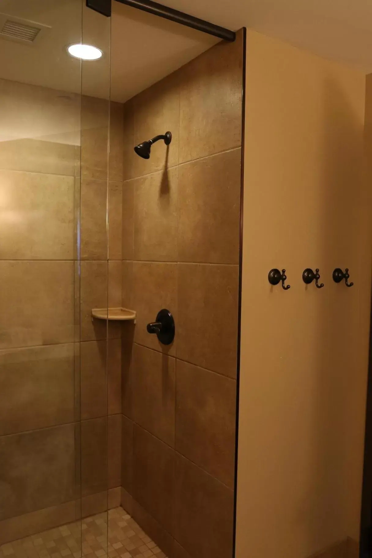 Shower, Bathroom in Swinomish Casino & Lodge