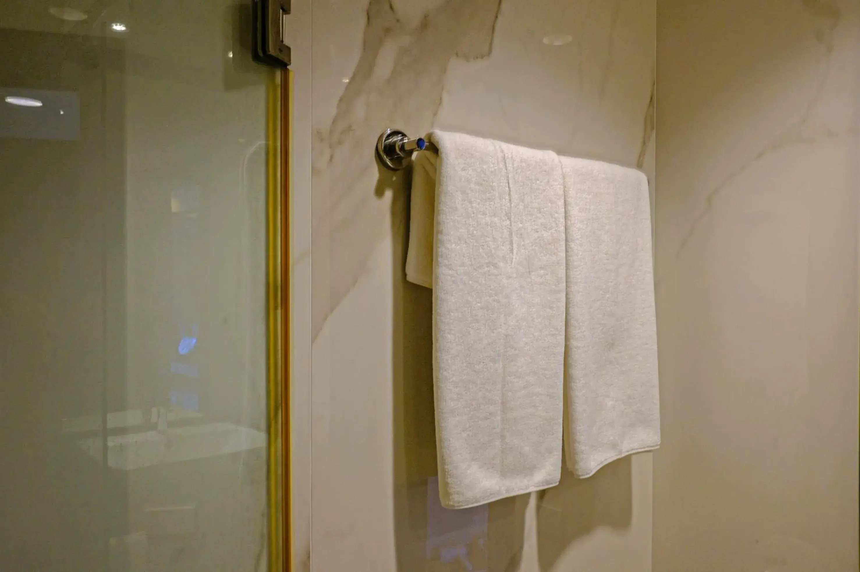 Shower, Bathroom in Nova Platinum Hotel