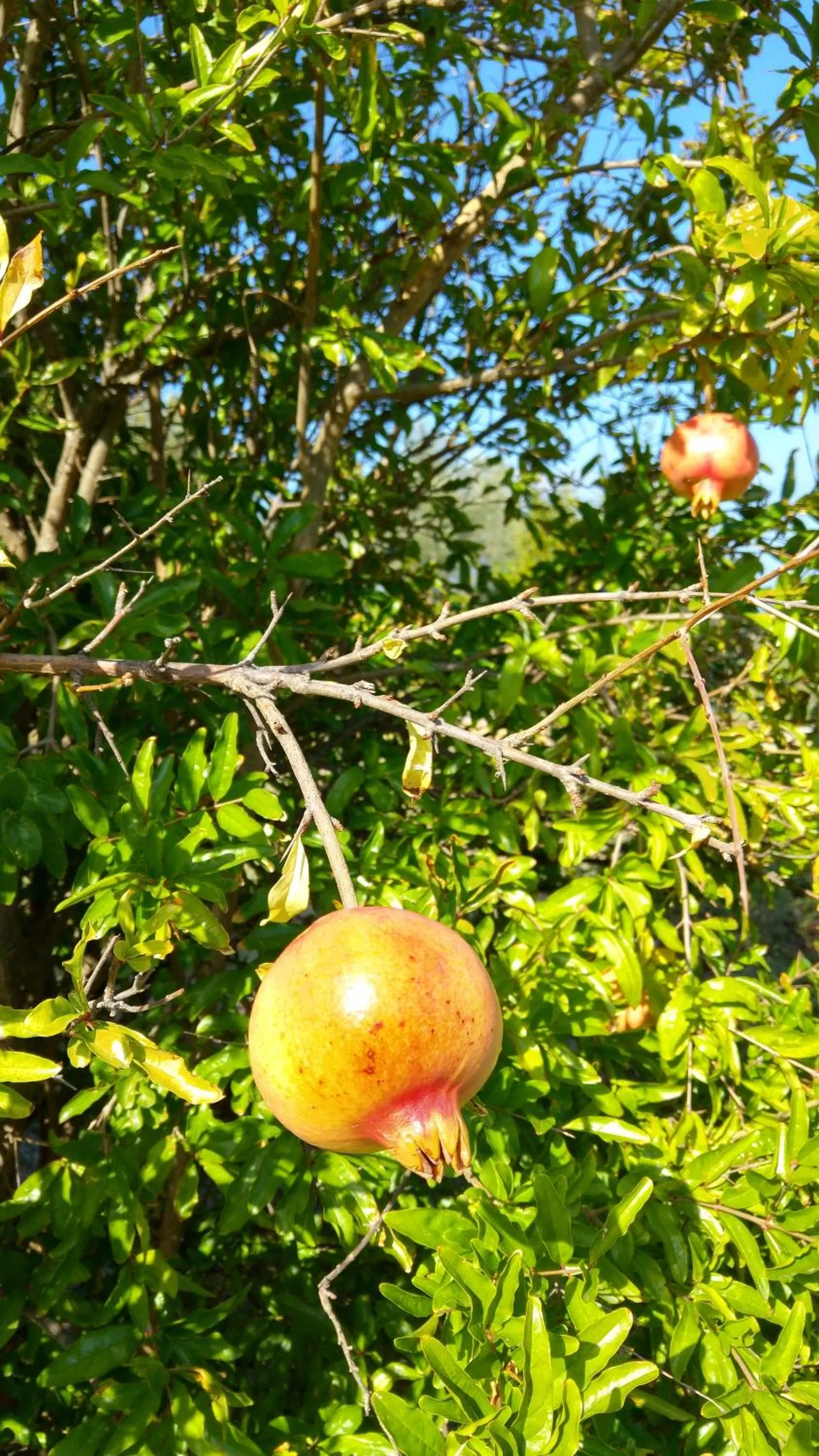 Natural landscape in Vistazzurra B&B