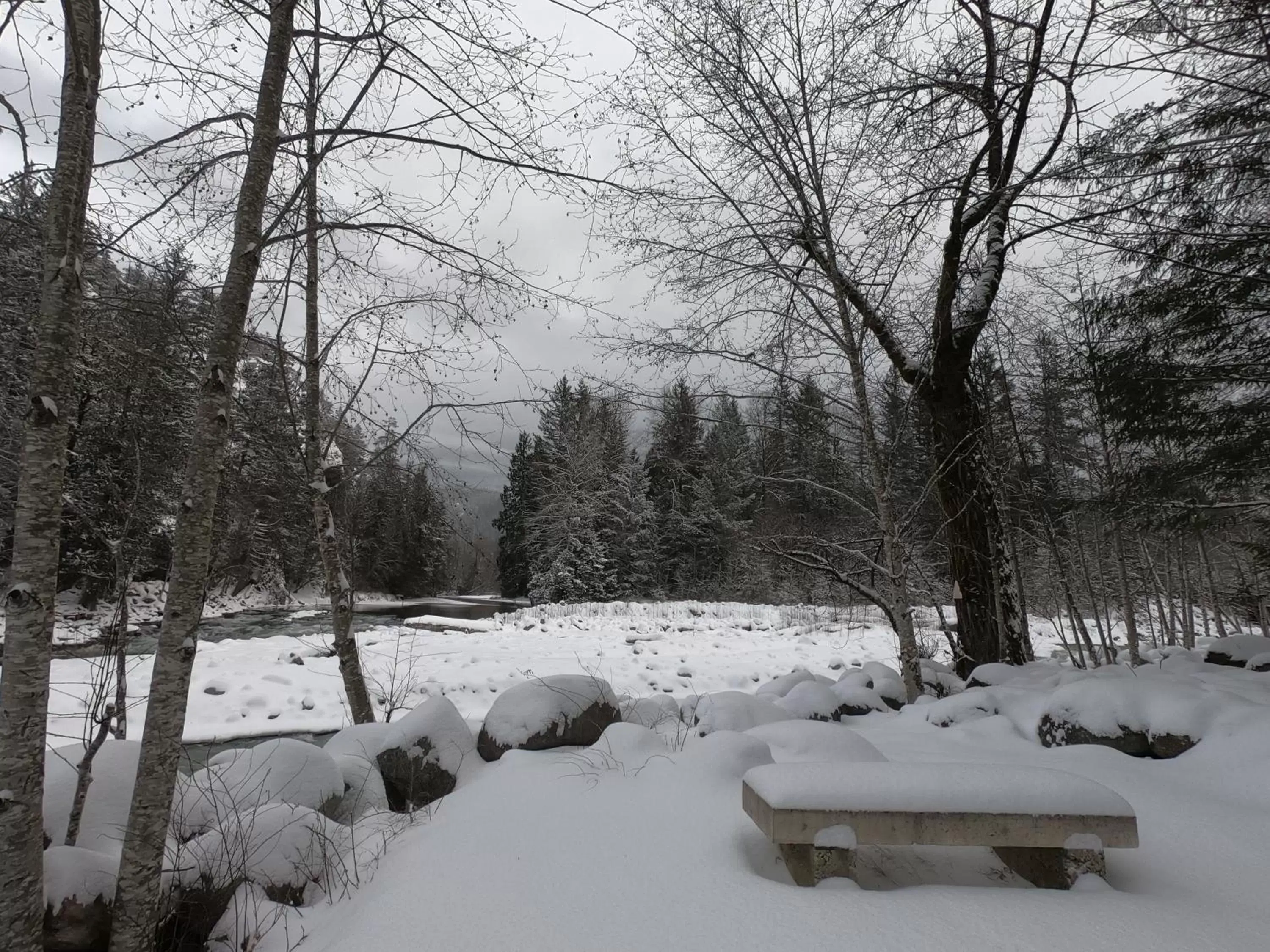 Natural landscape, Winter in Sunwolf Riverside Cabins