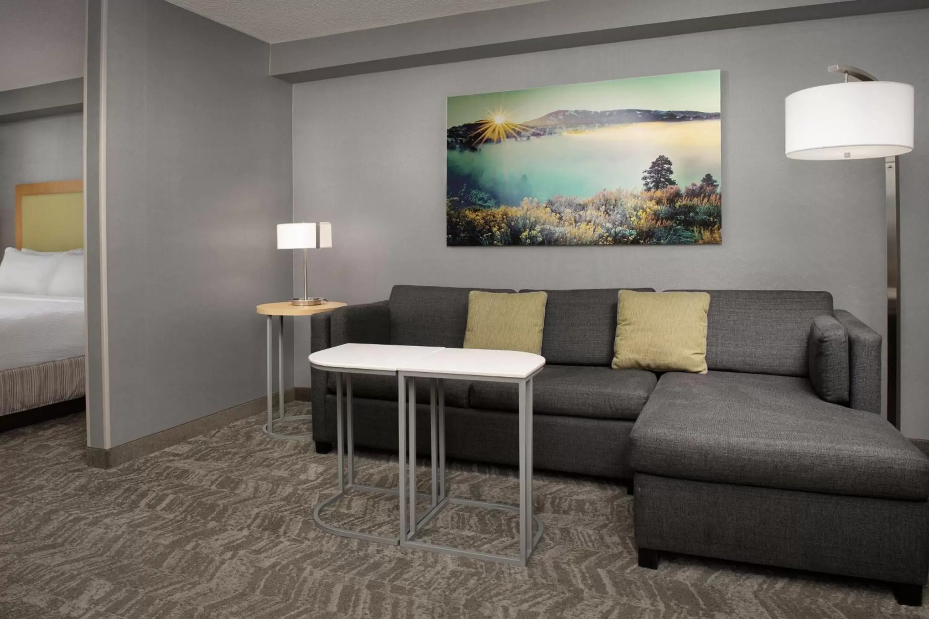 Living room, Seating Area in SpringHill Suites by Marriott Boise ParkCenter