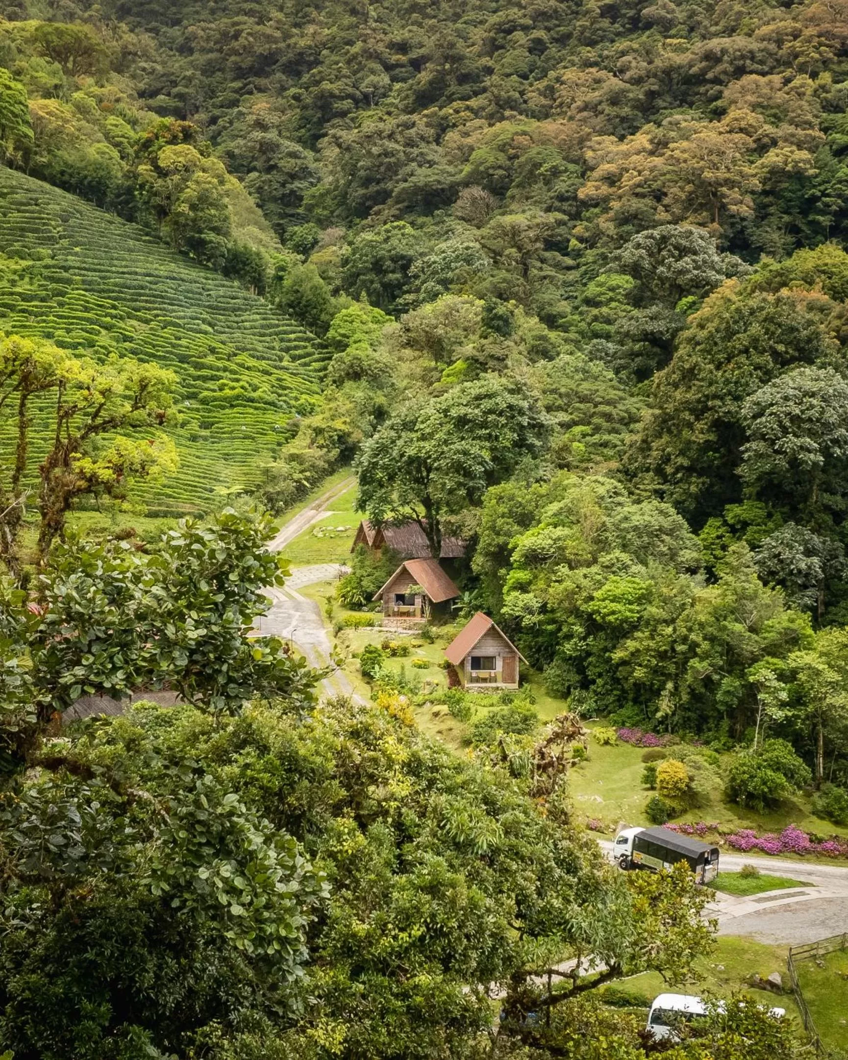 Property building in TREE TREK BOQUETE Adventure Park