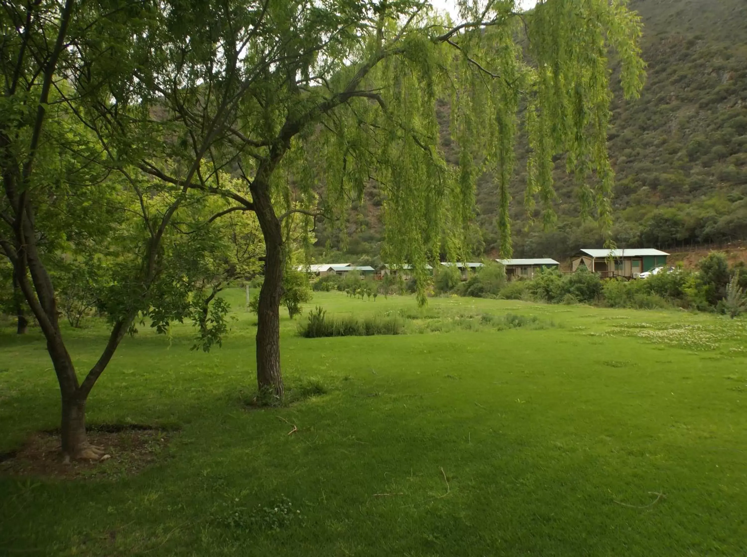 Garden view in Old Mill Lodge, Seasonal Working Ostrich Farm & Restaurant, Oudtshoorn