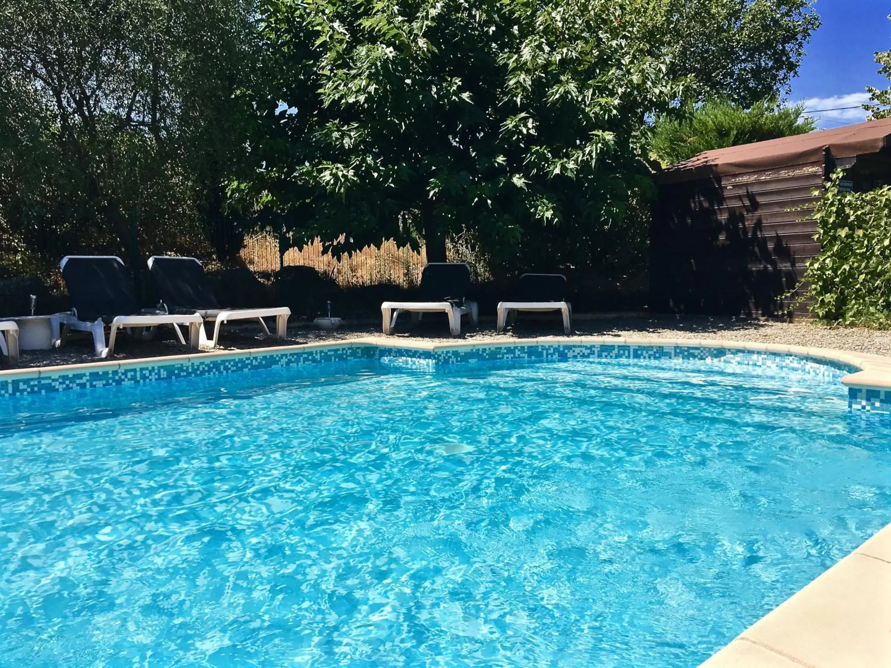 Swimming Pool in Hotel Les Oliviers