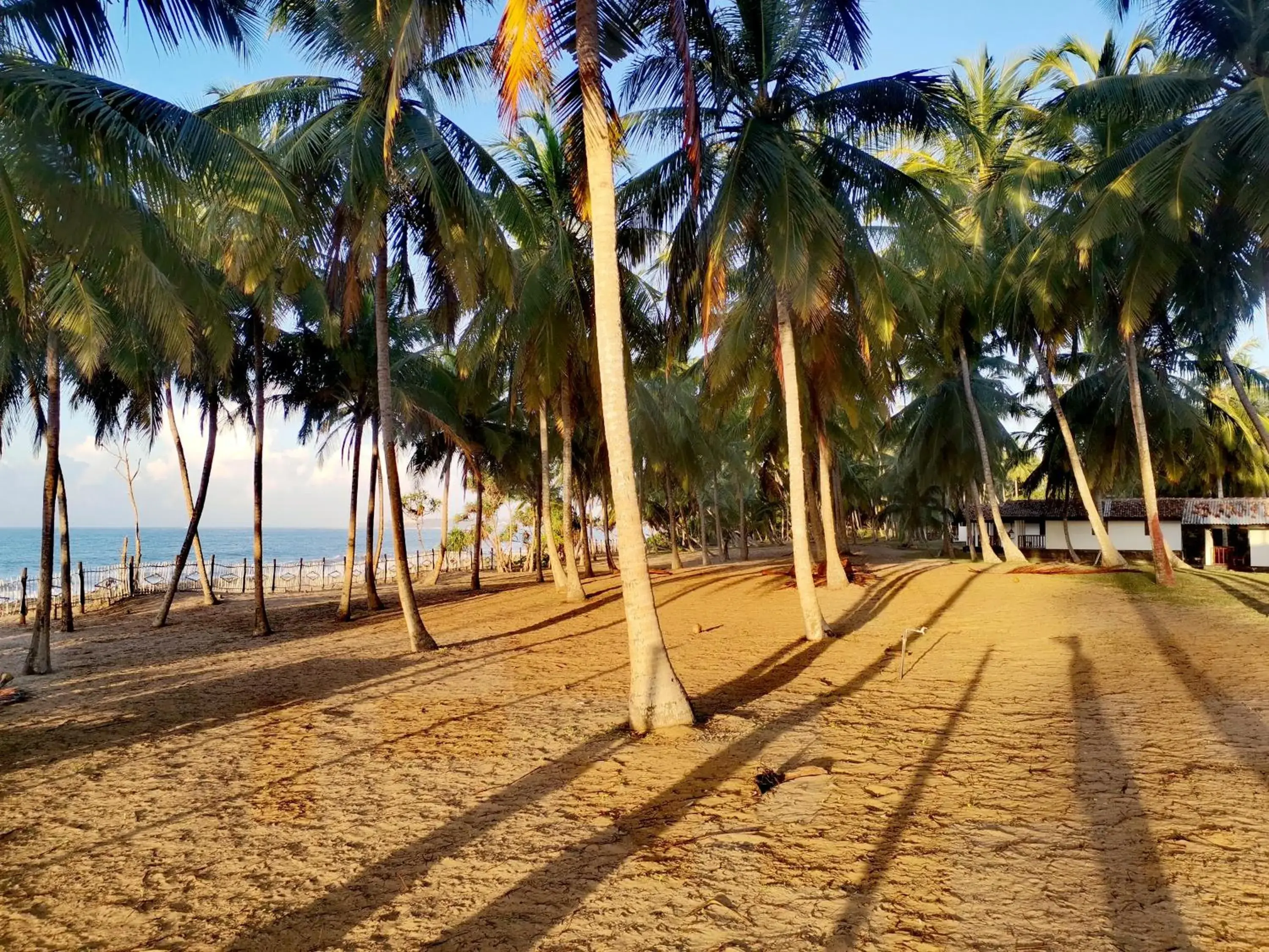 Natural landscape, Beach in Helios Beach Resort