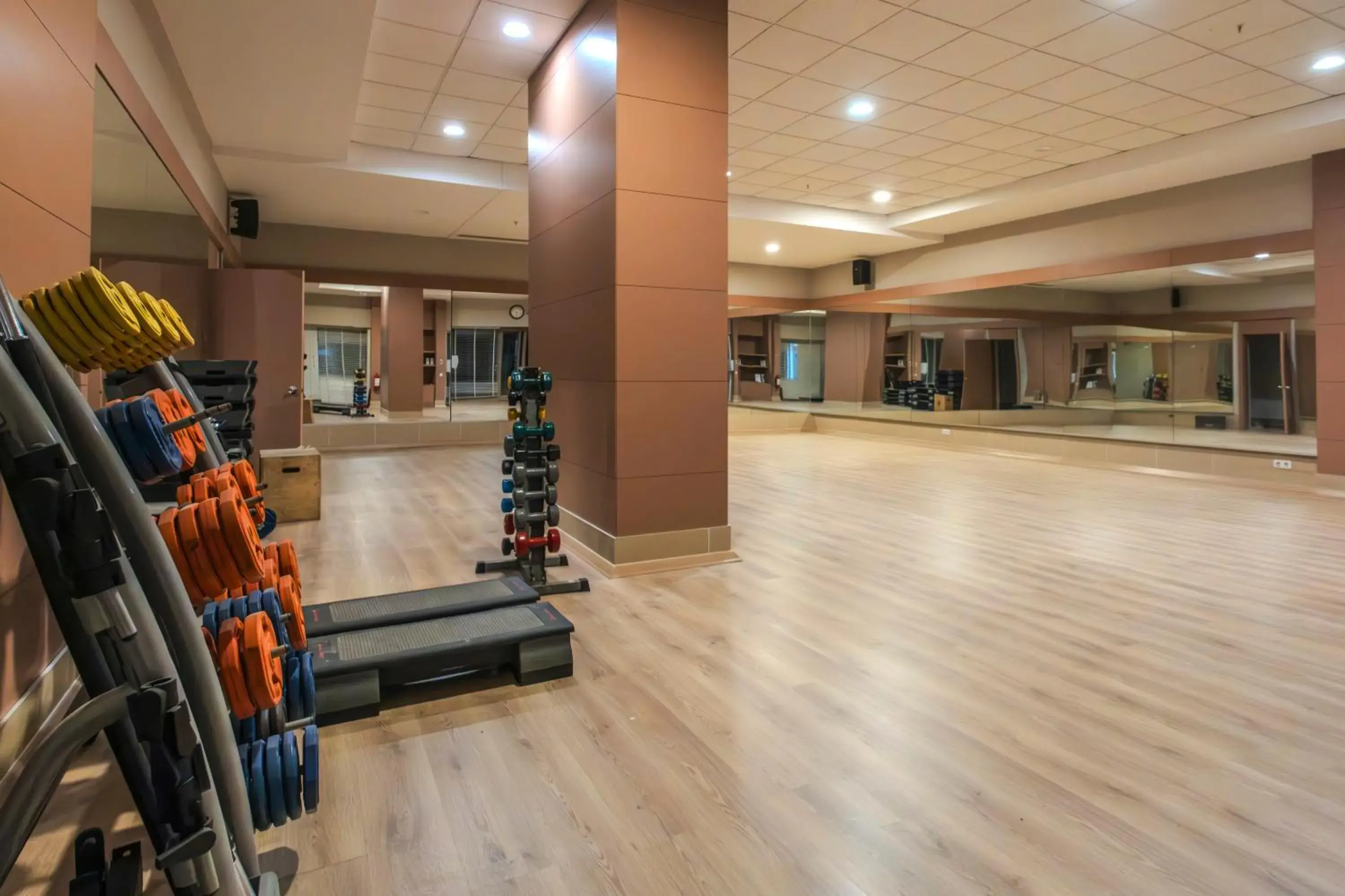 Fitness centre/facilities, Lobby/Reception in Barut GOIA