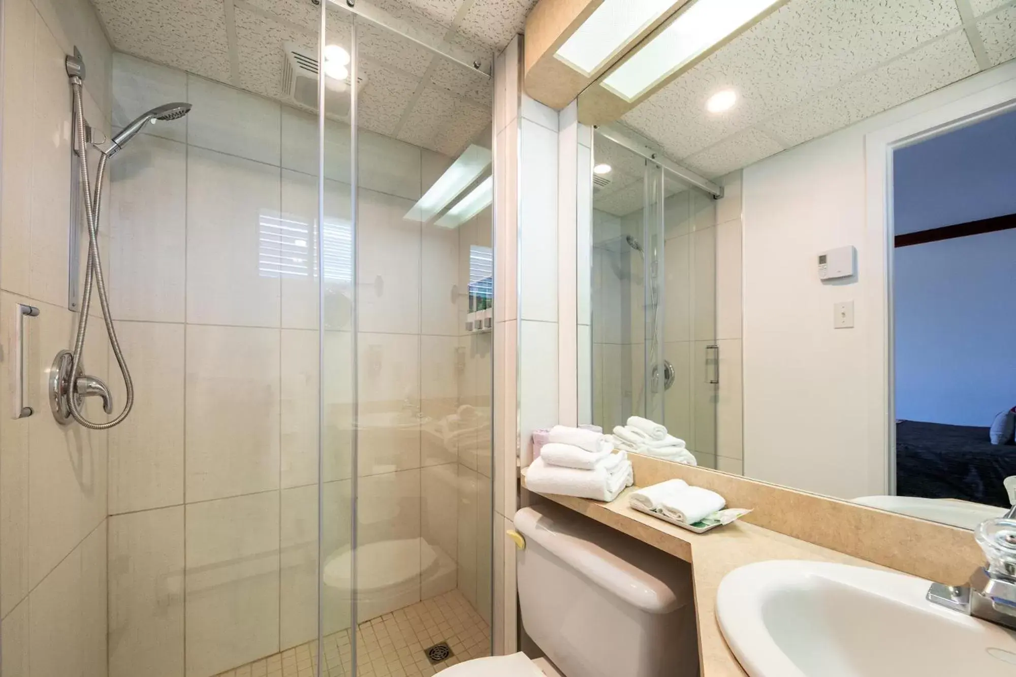 Shower, Bathroom in Hotel Plante
