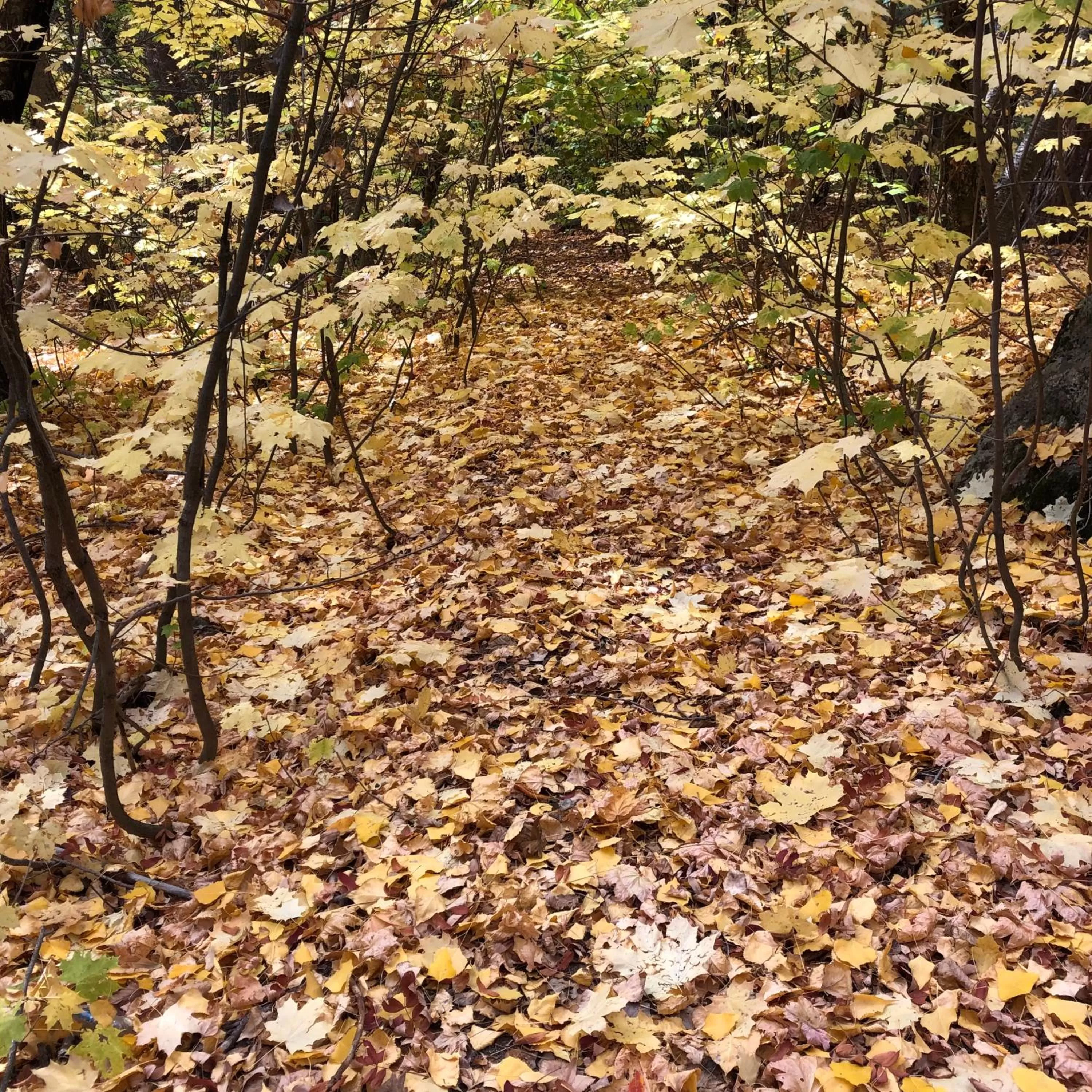 Hiking in Jermuk Ani Hotel