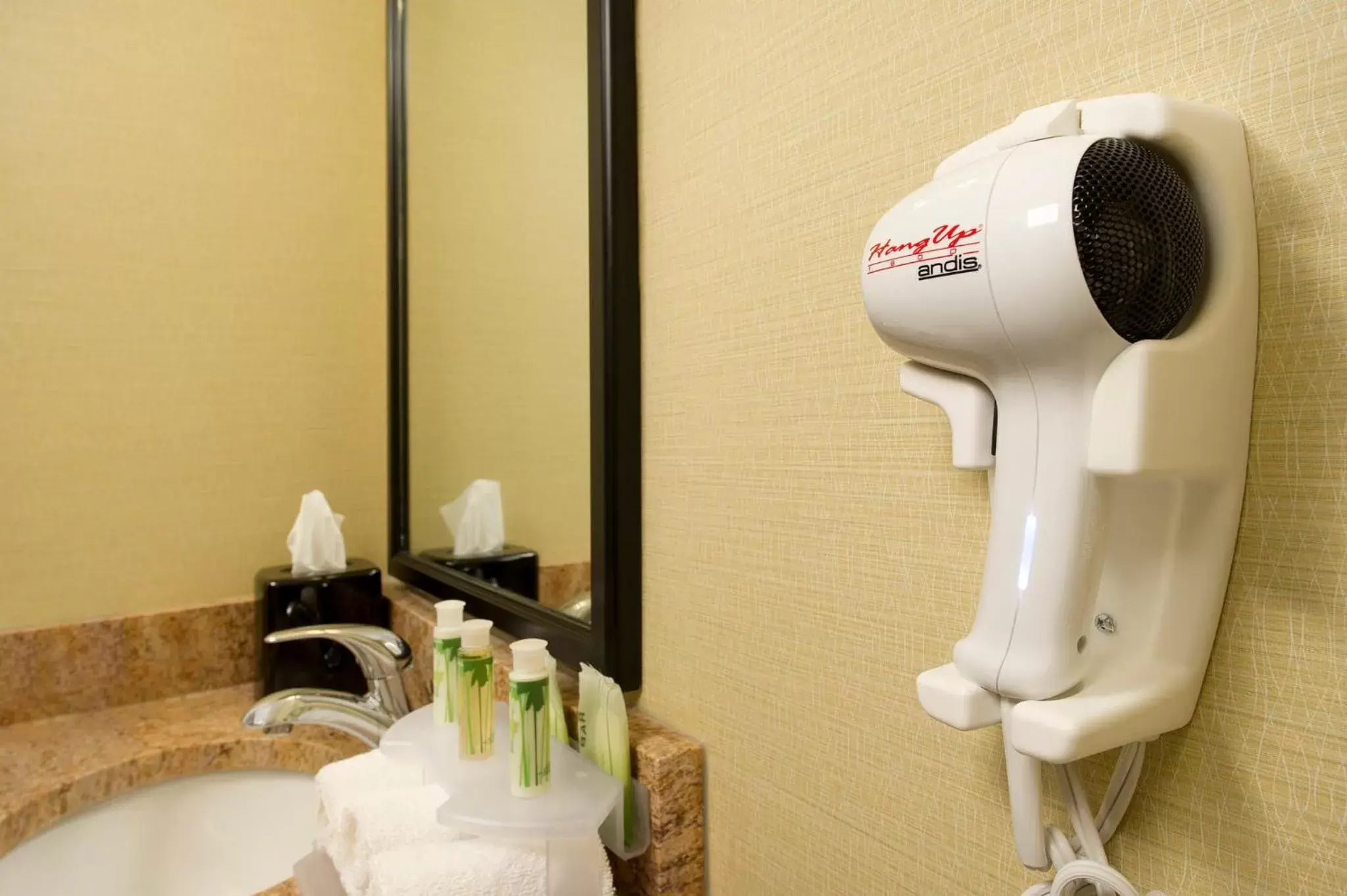 Photo of the whole room, Bathroom in Holiday Inn Express - Waldorf, an IHG Hotel