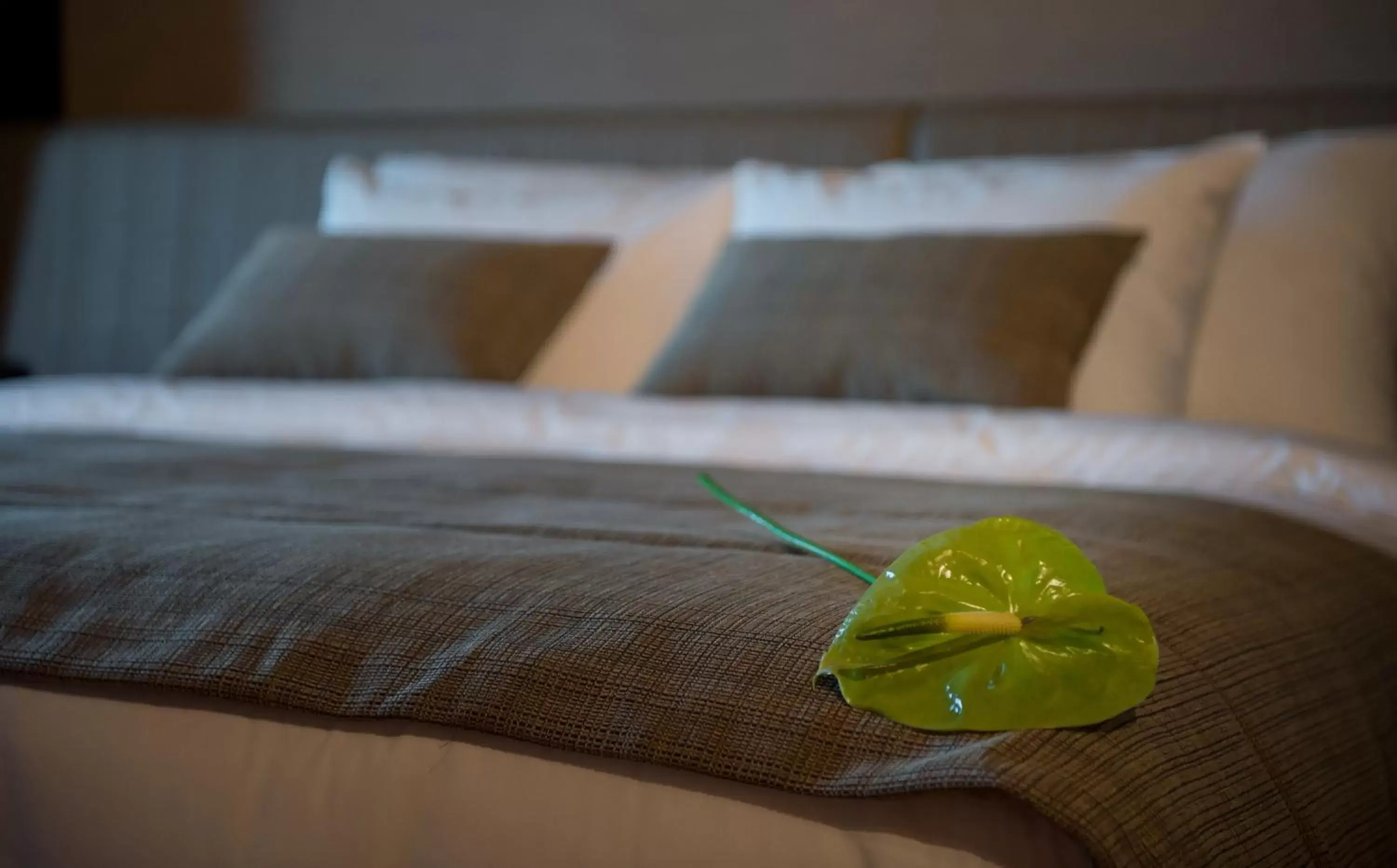 Decorative detail, Bed in Kronwell Brasov Hotel