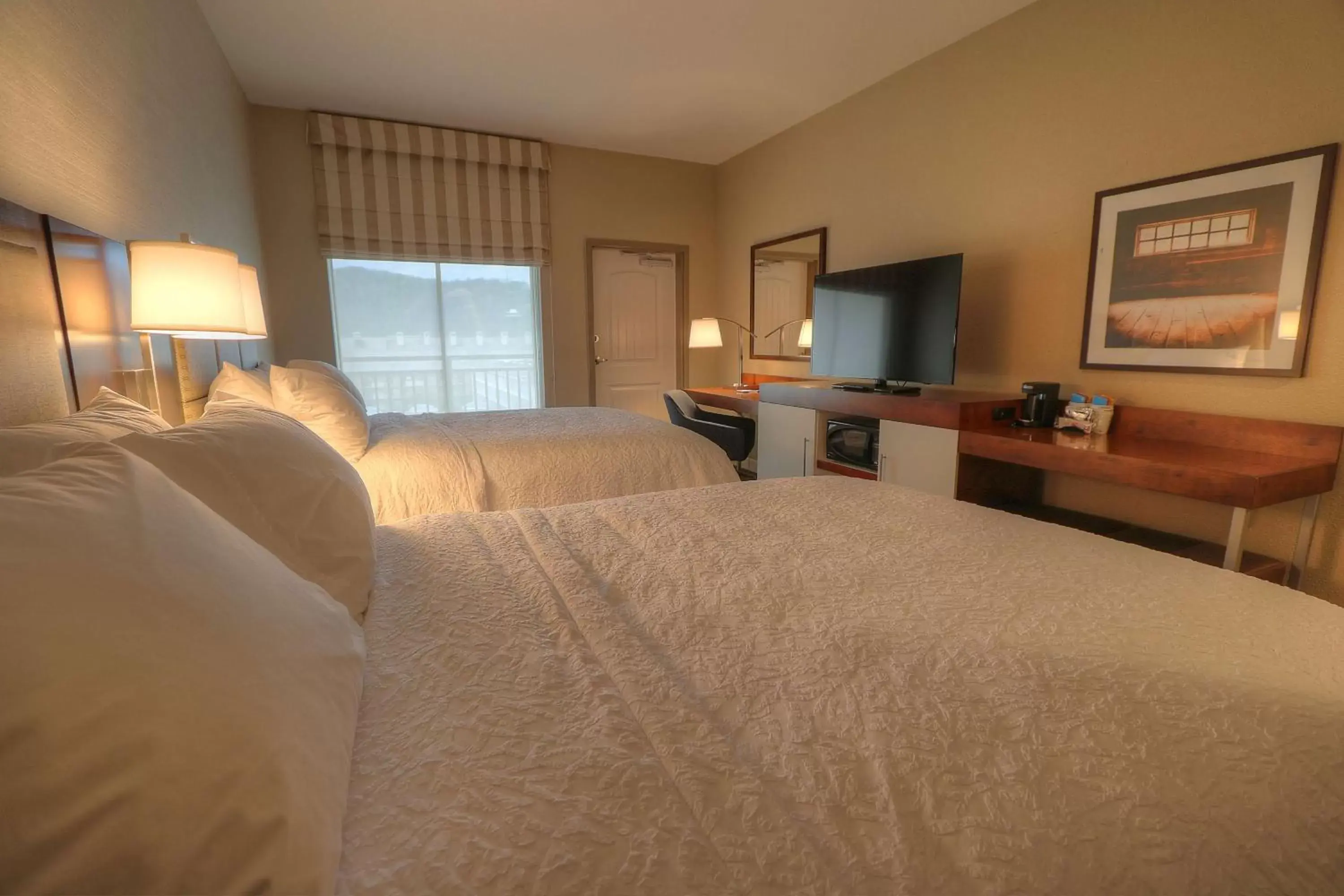 Bedroom, Seating Area in Hampton Inn Gatlinburg Historic Nature Trail, Tn