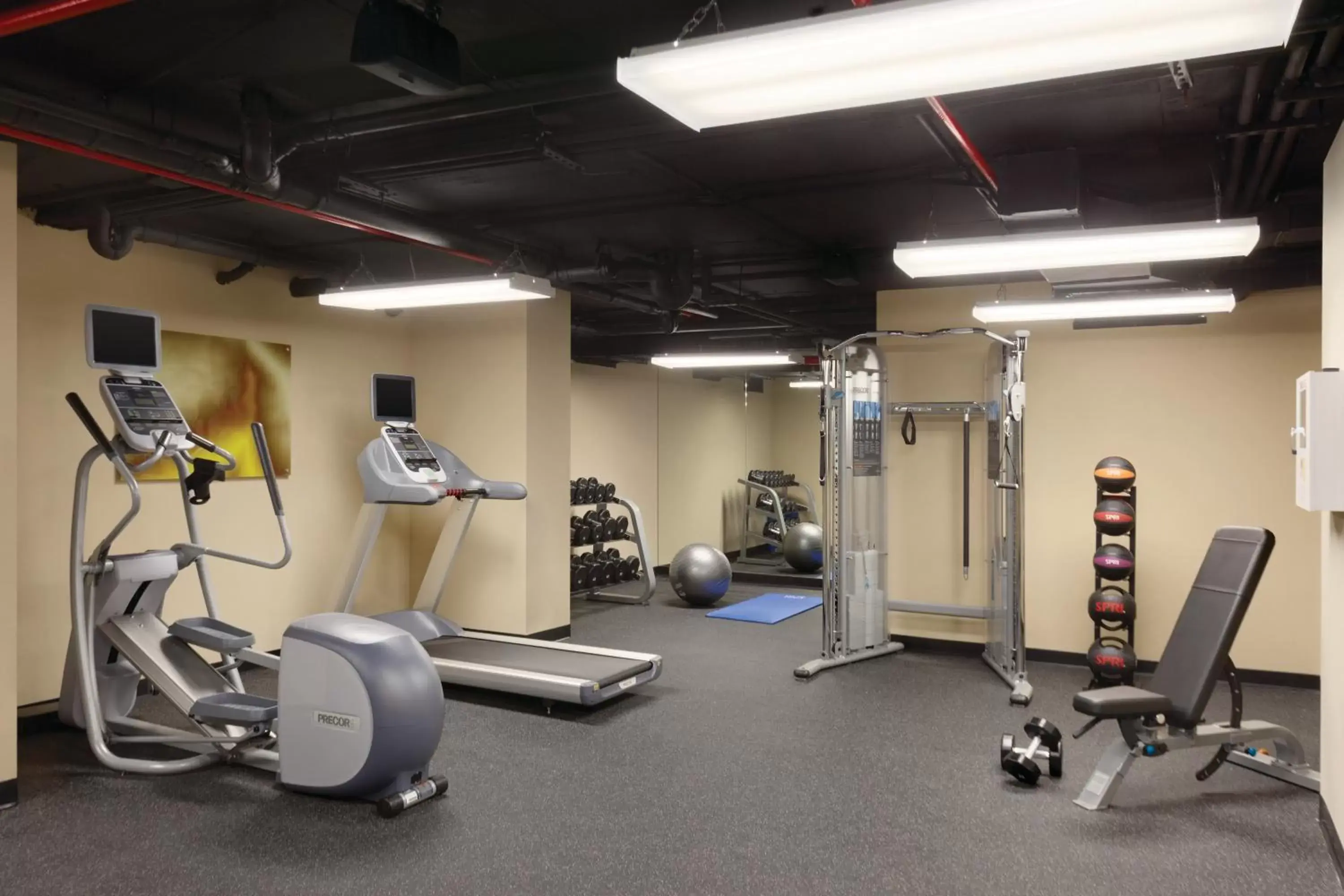 Fitness centre/facilities, Fitness Center/Facilities in Executive Hotel Le Soleil New York