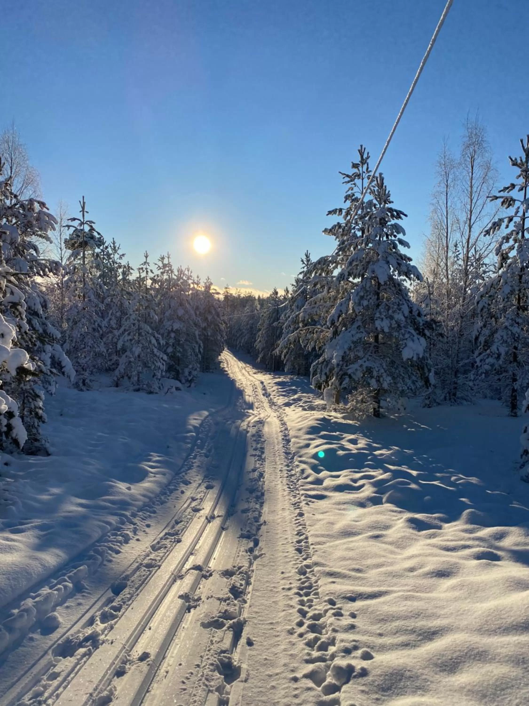Skiing in Hedenstugan B&B Hotel