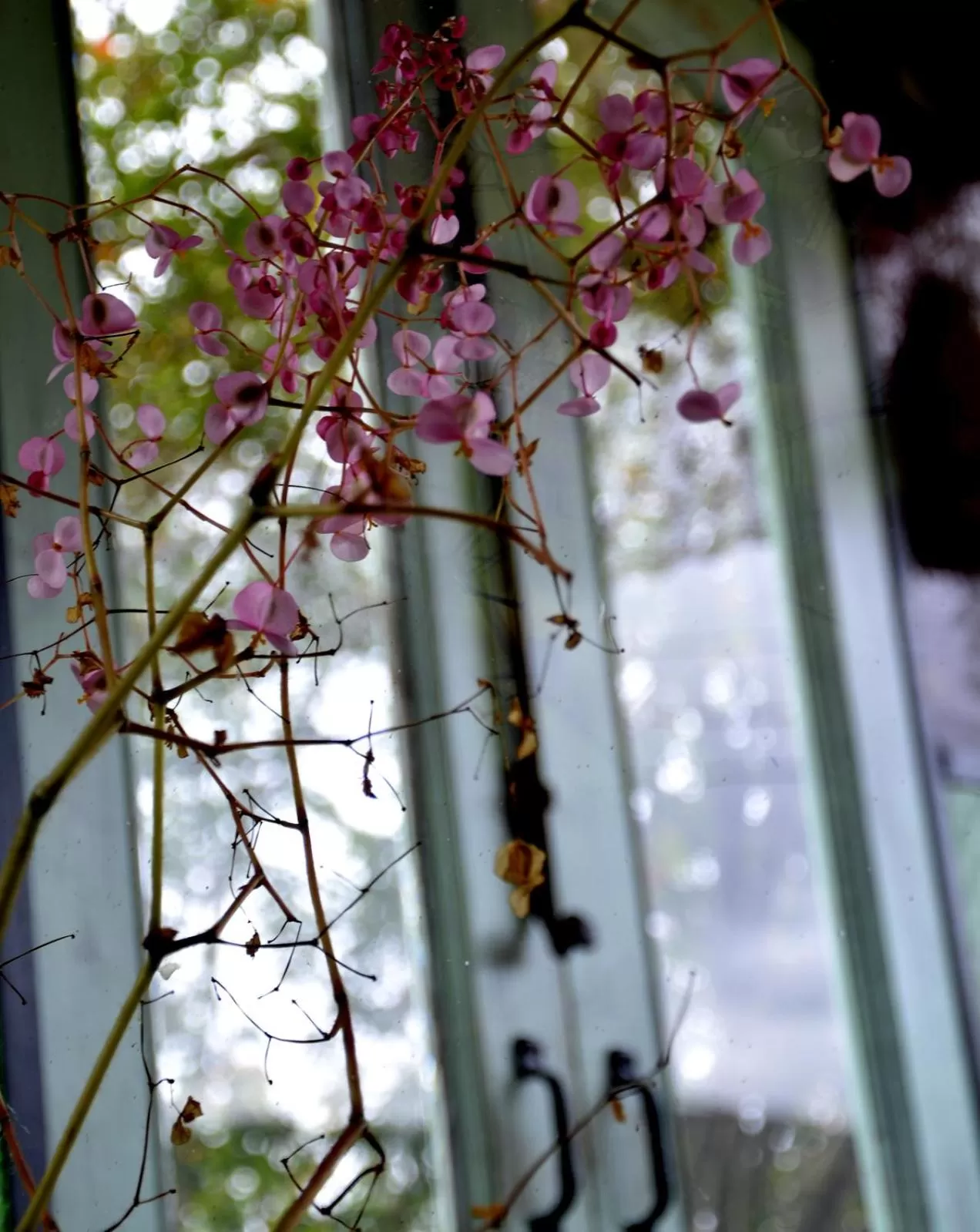 Lounge or bar in El Pedregal Sopó