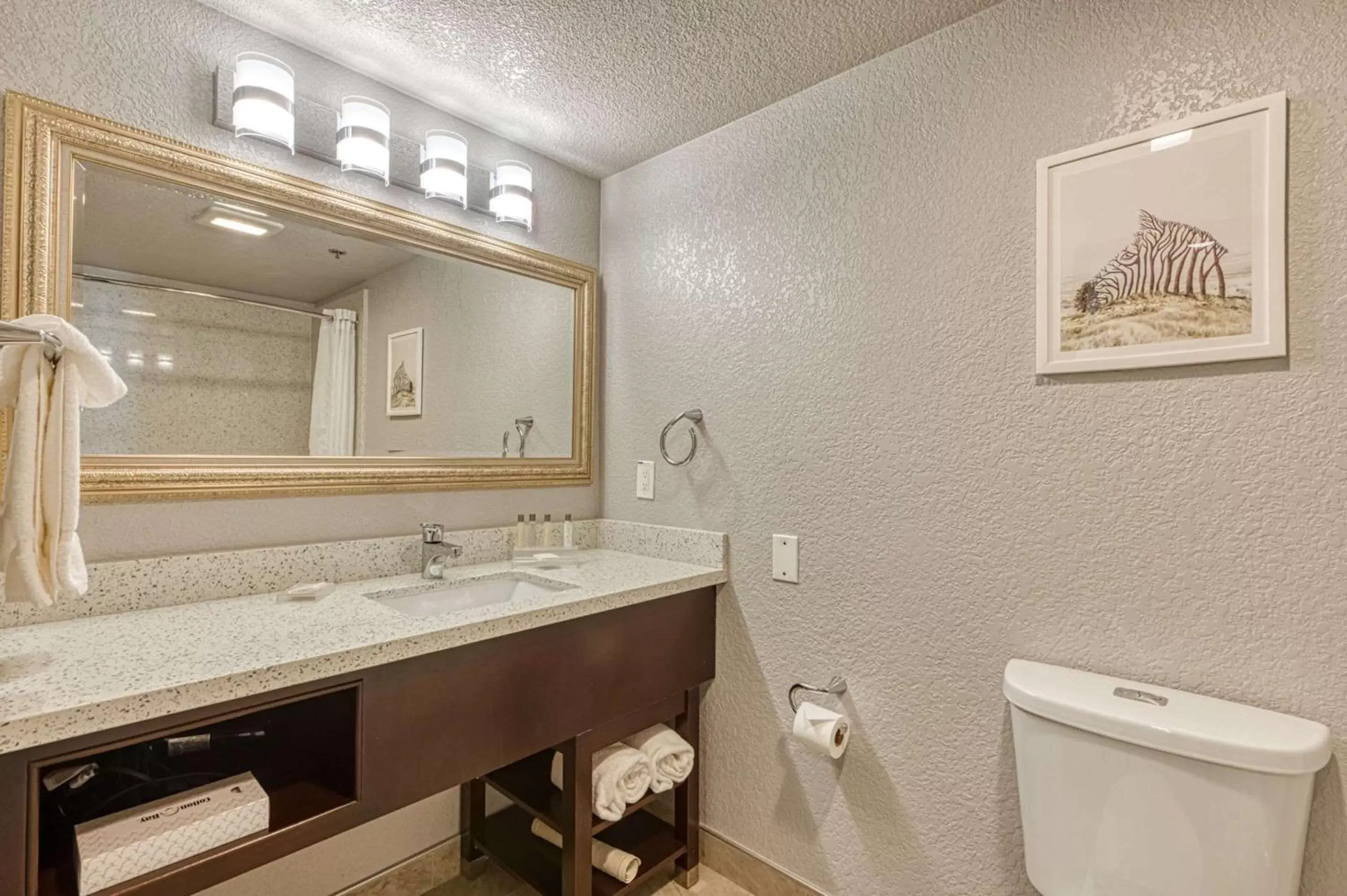 Bathroom in Amanzi Hotel, Ascend Hotel Collection